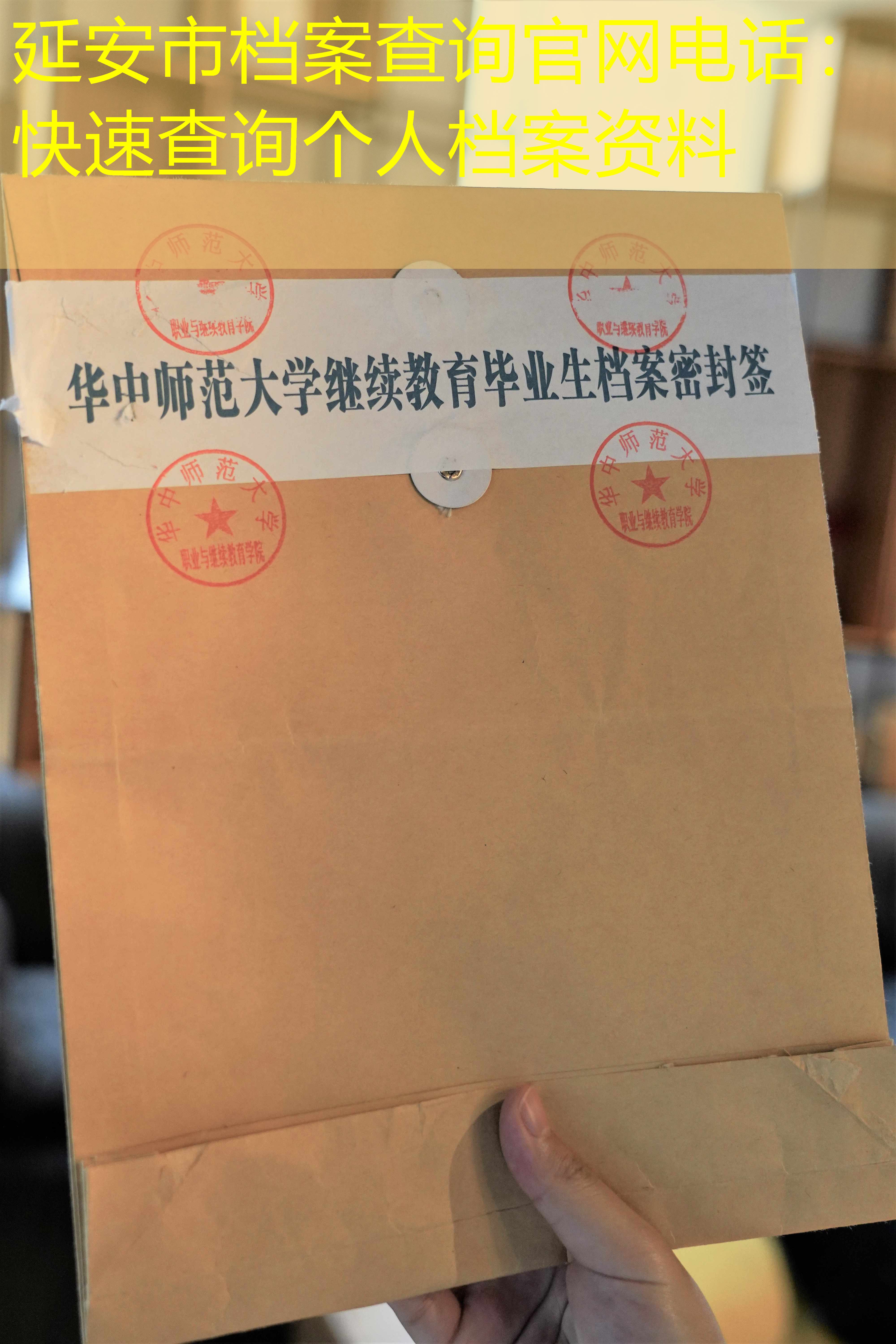 档案查询