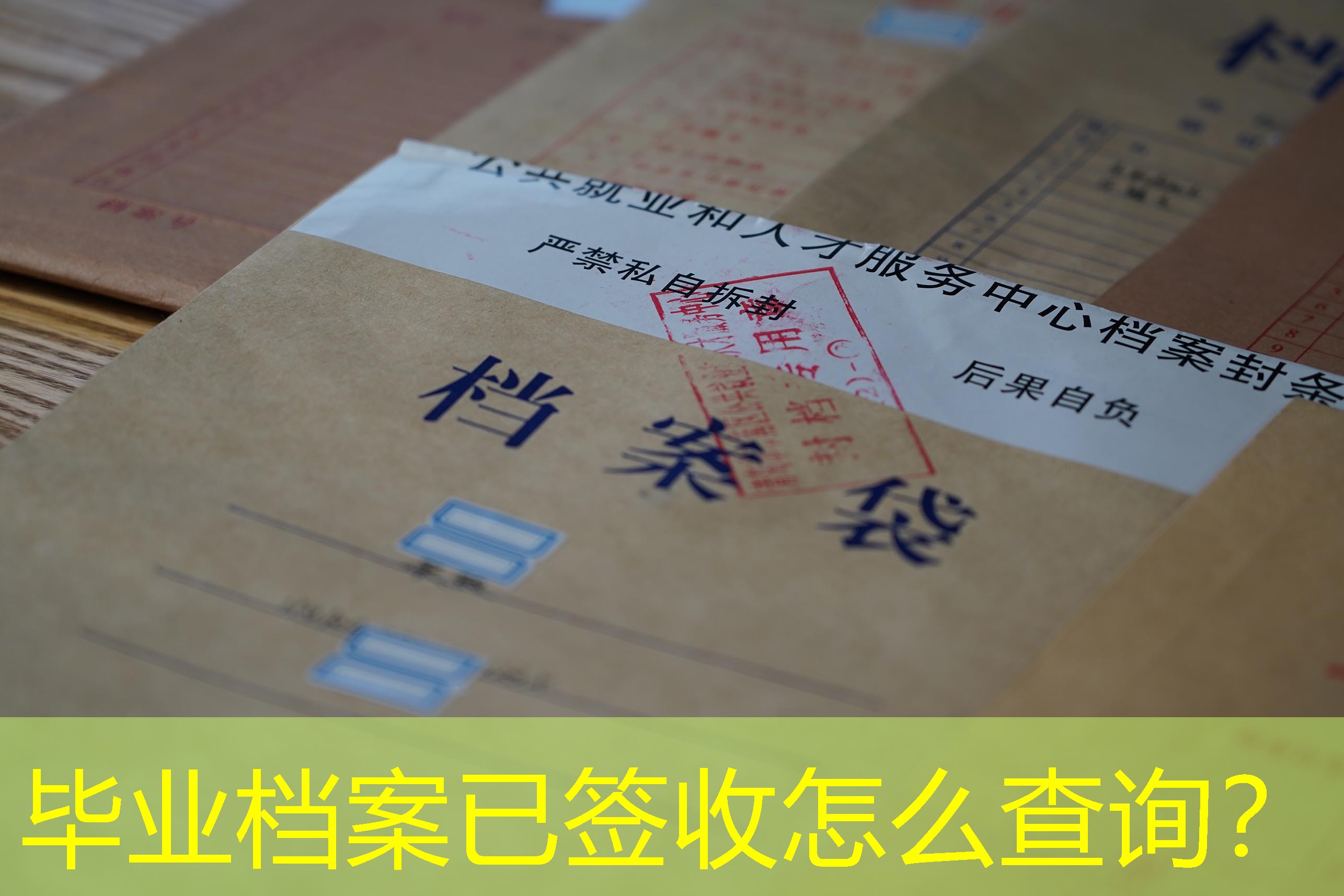 档案查询