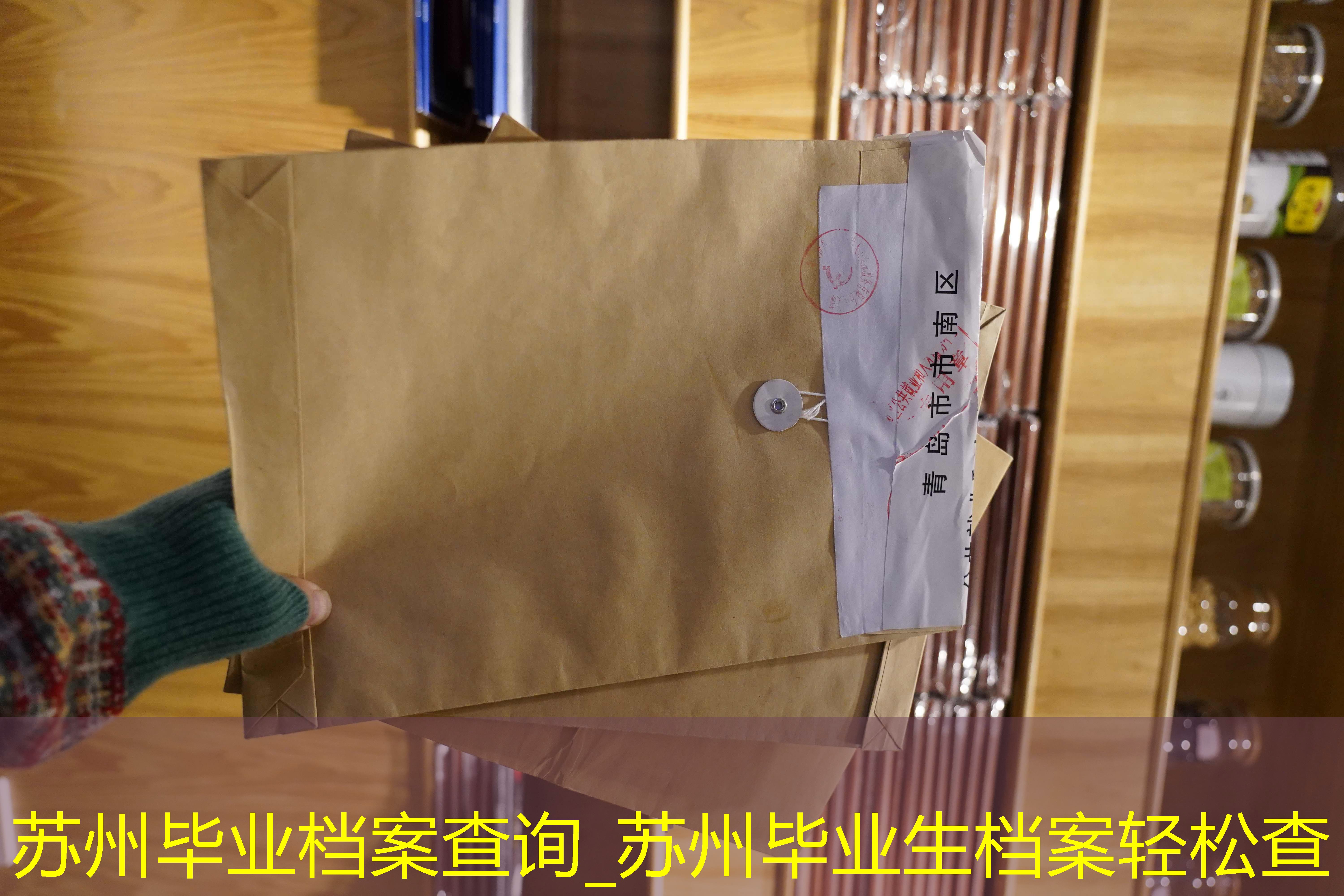 档案查询