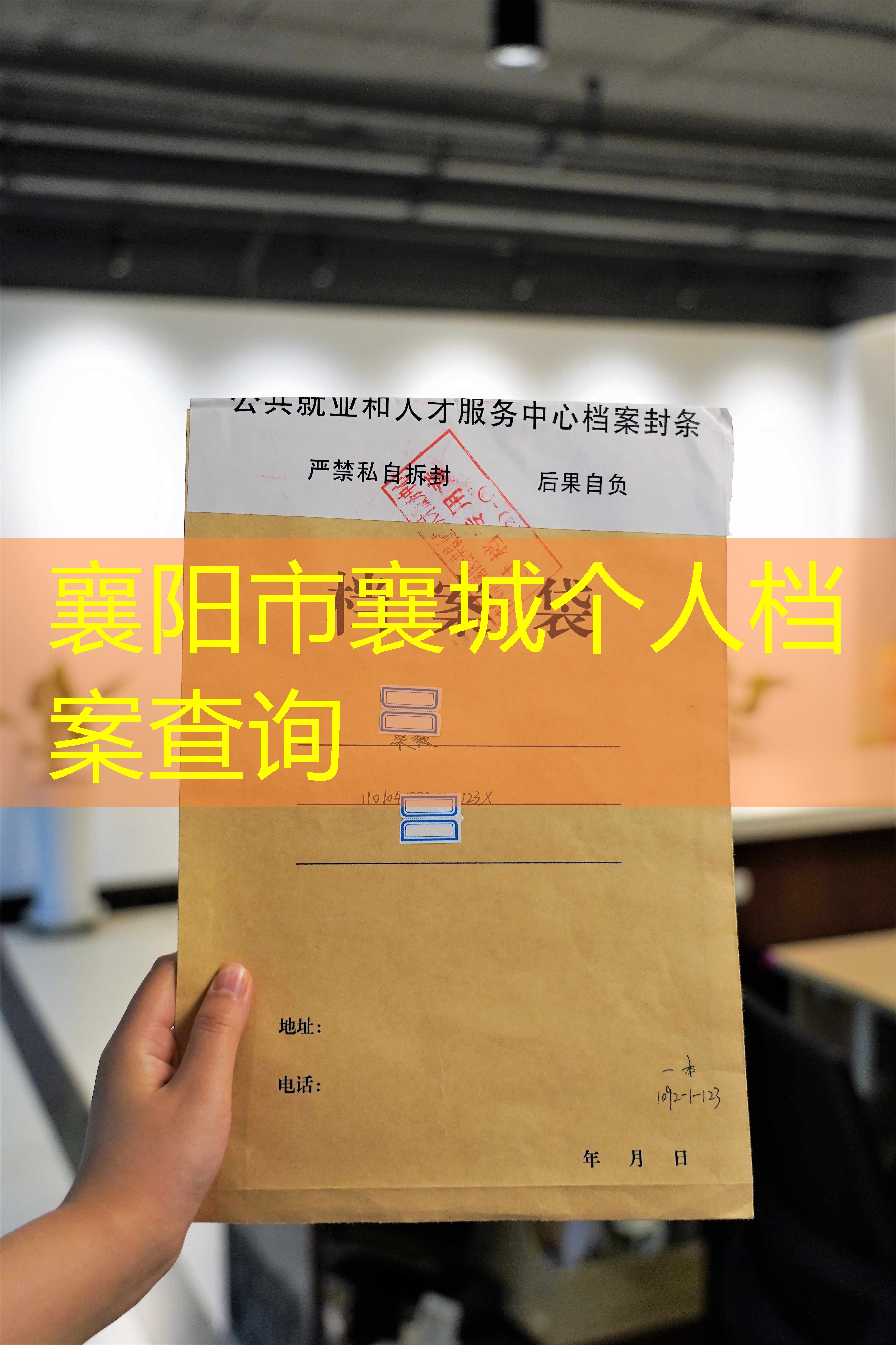 档案查询