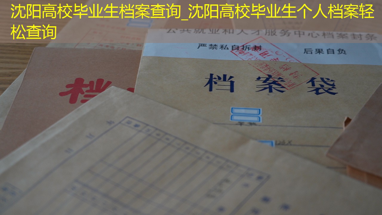 档案查询