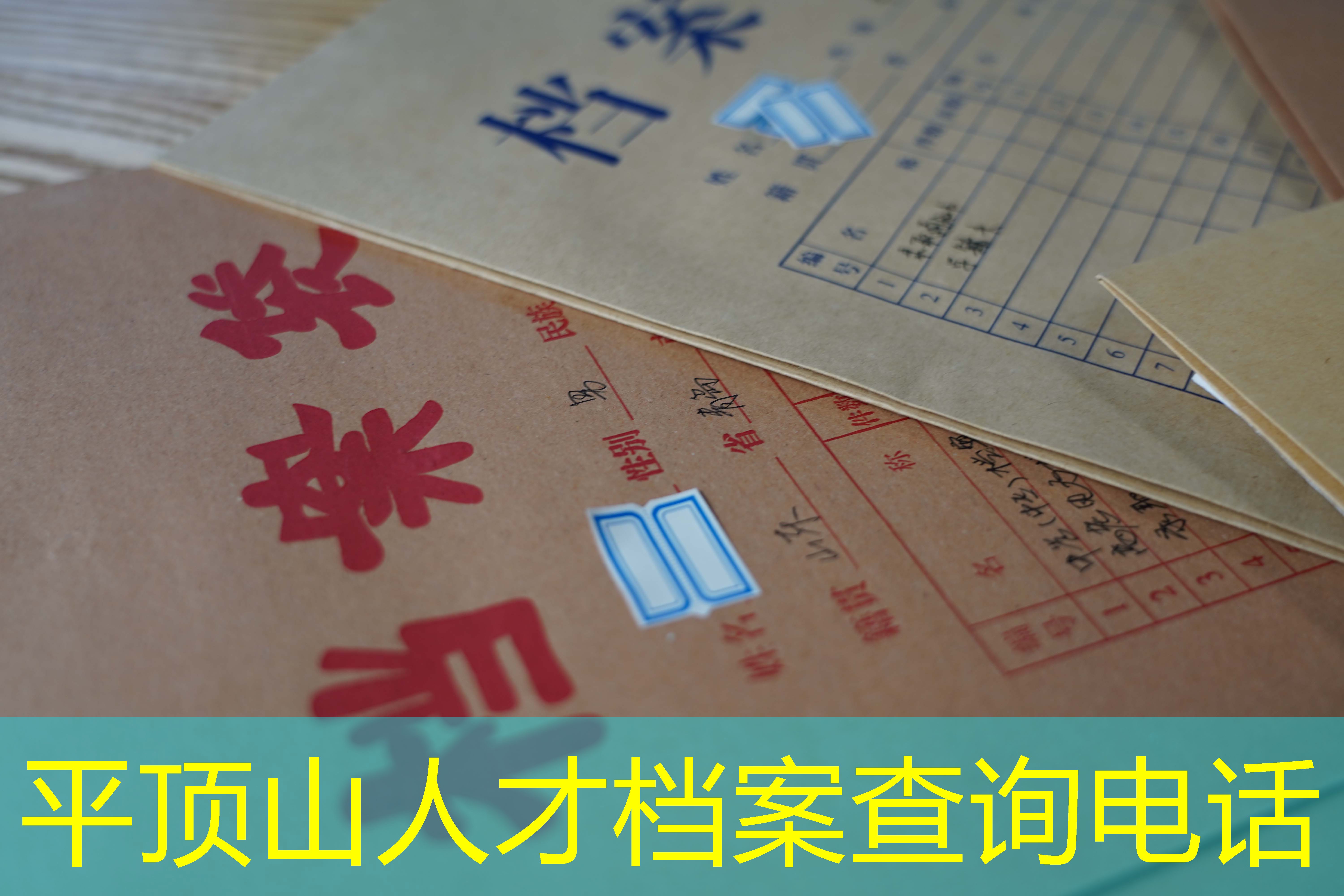 档案查询