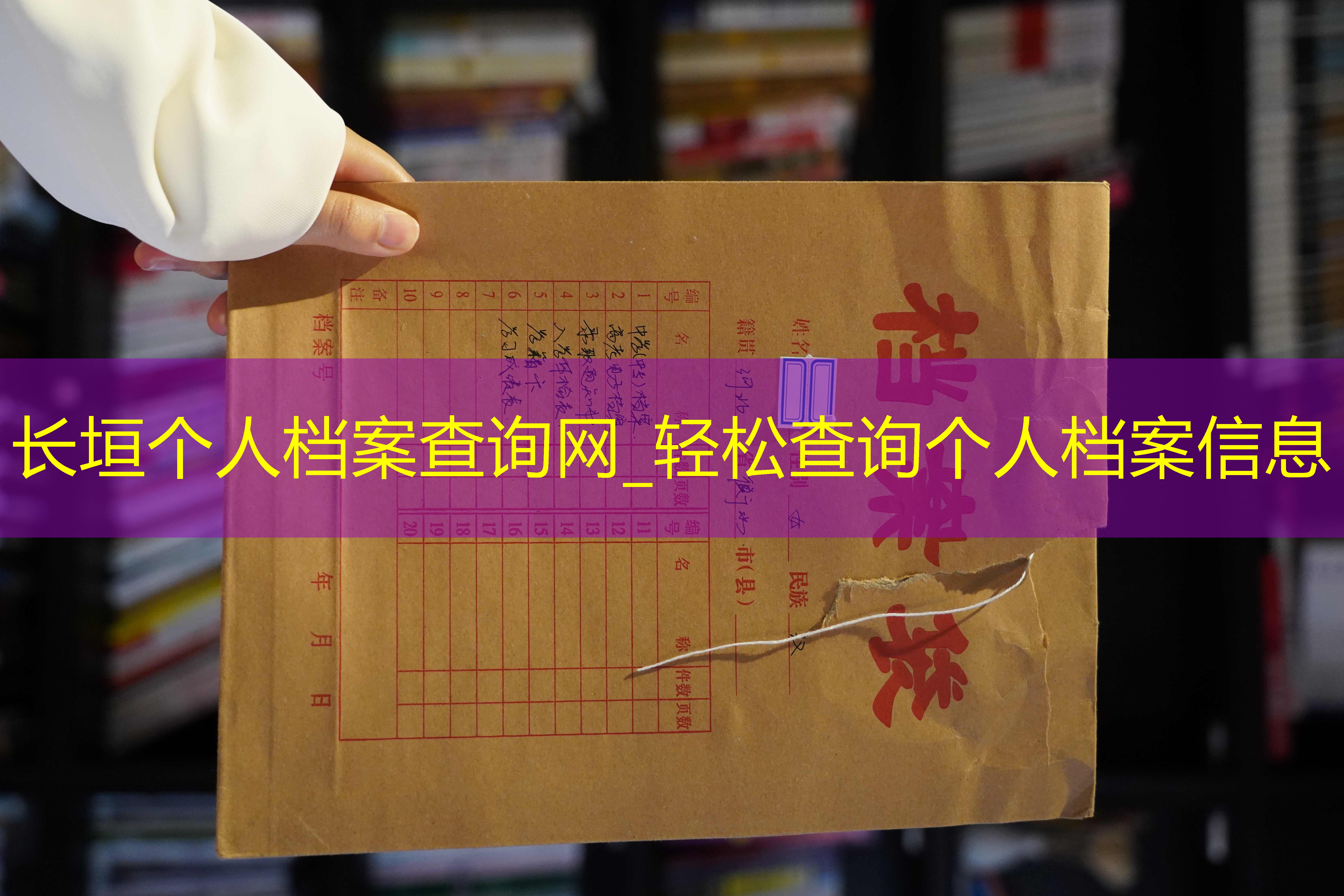 档案查询