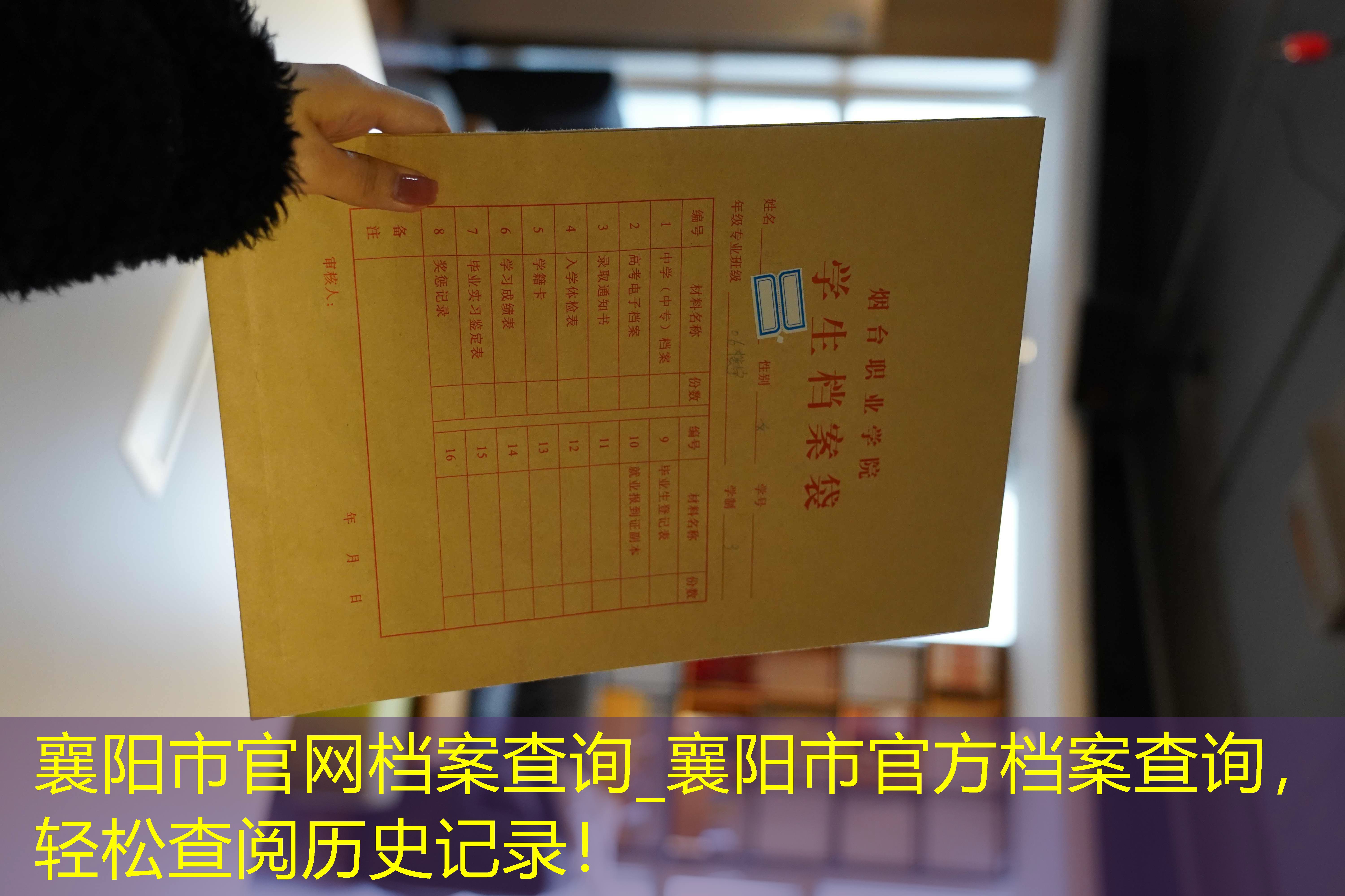 档案查询