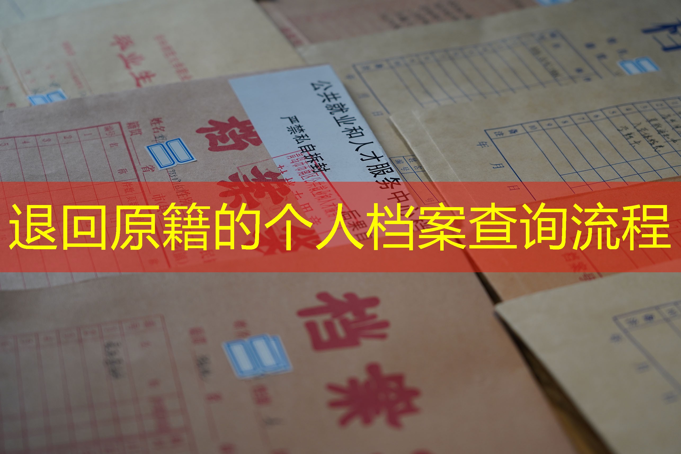 档案查询