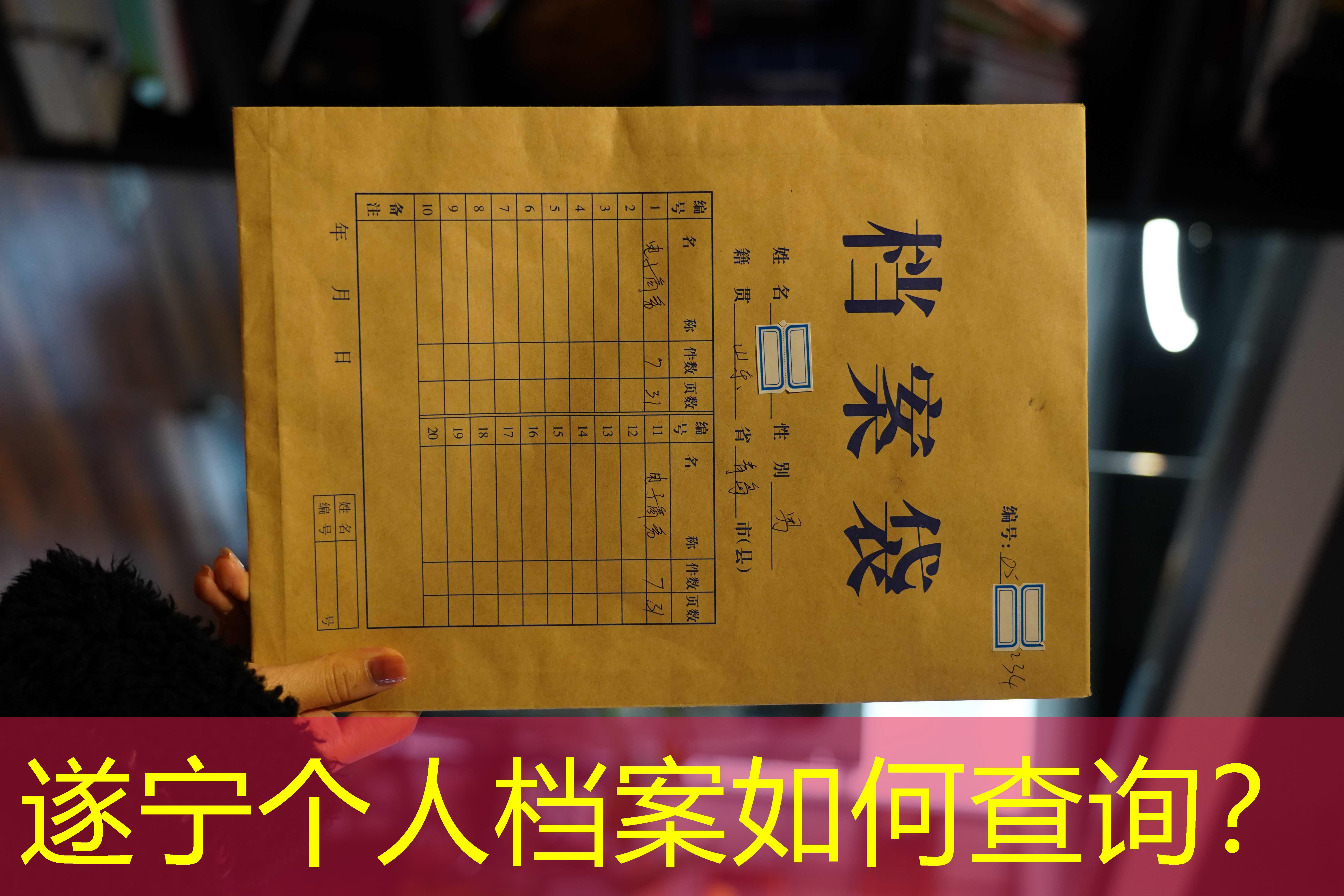 档案查询