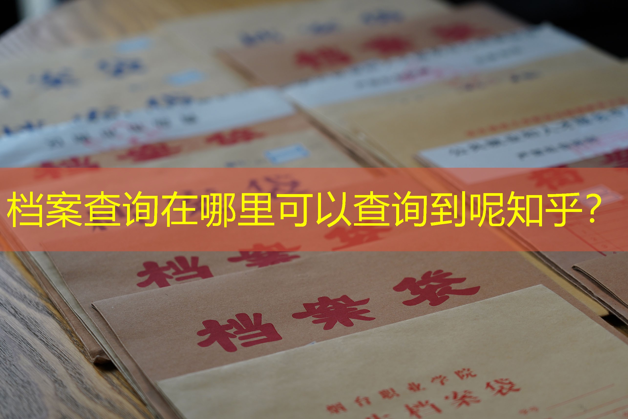 档案查询