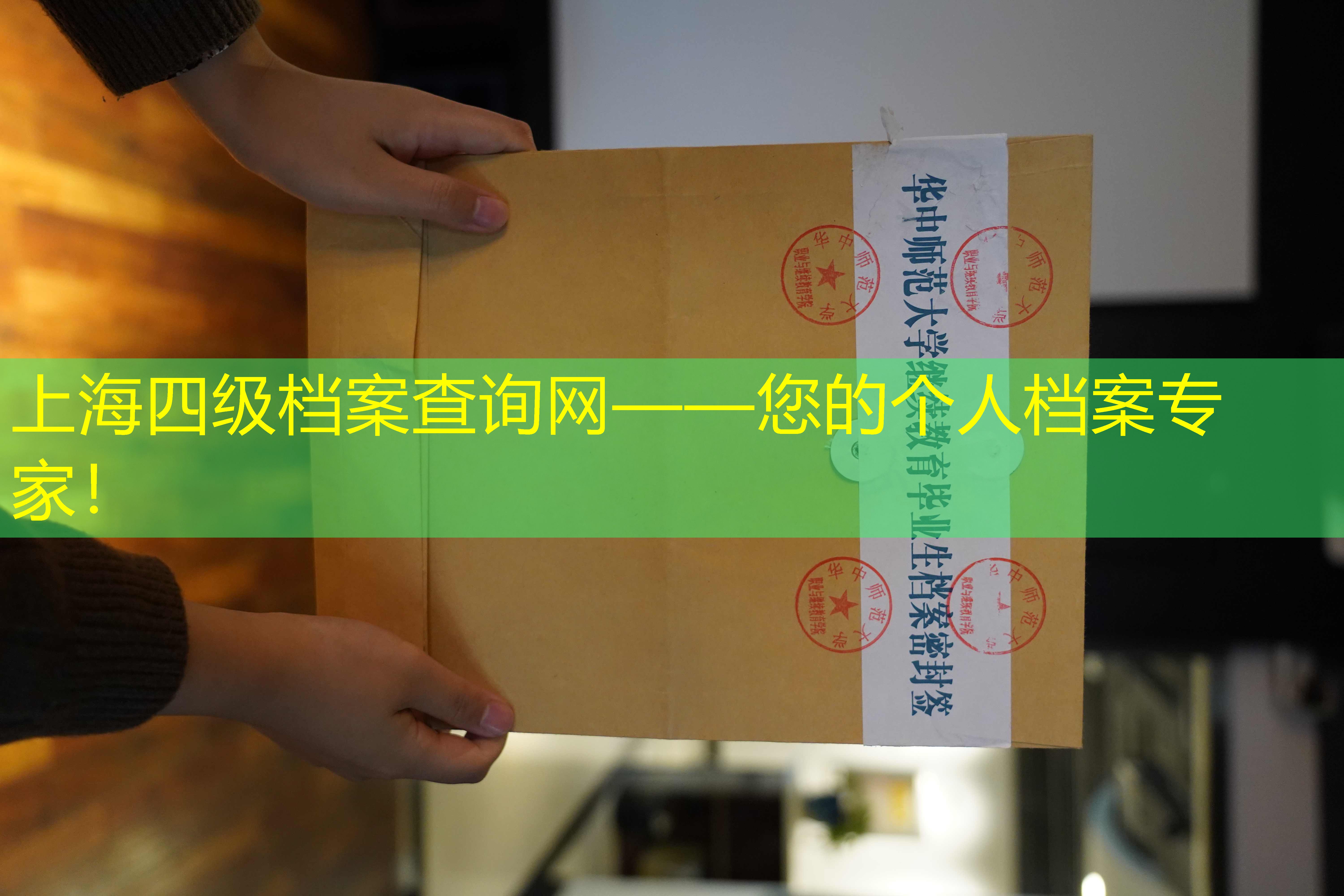 档案查询