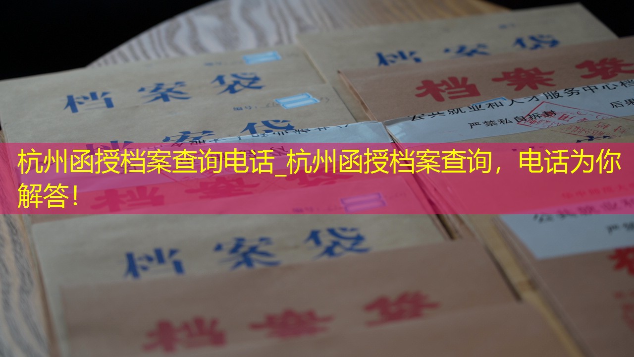 档案查询