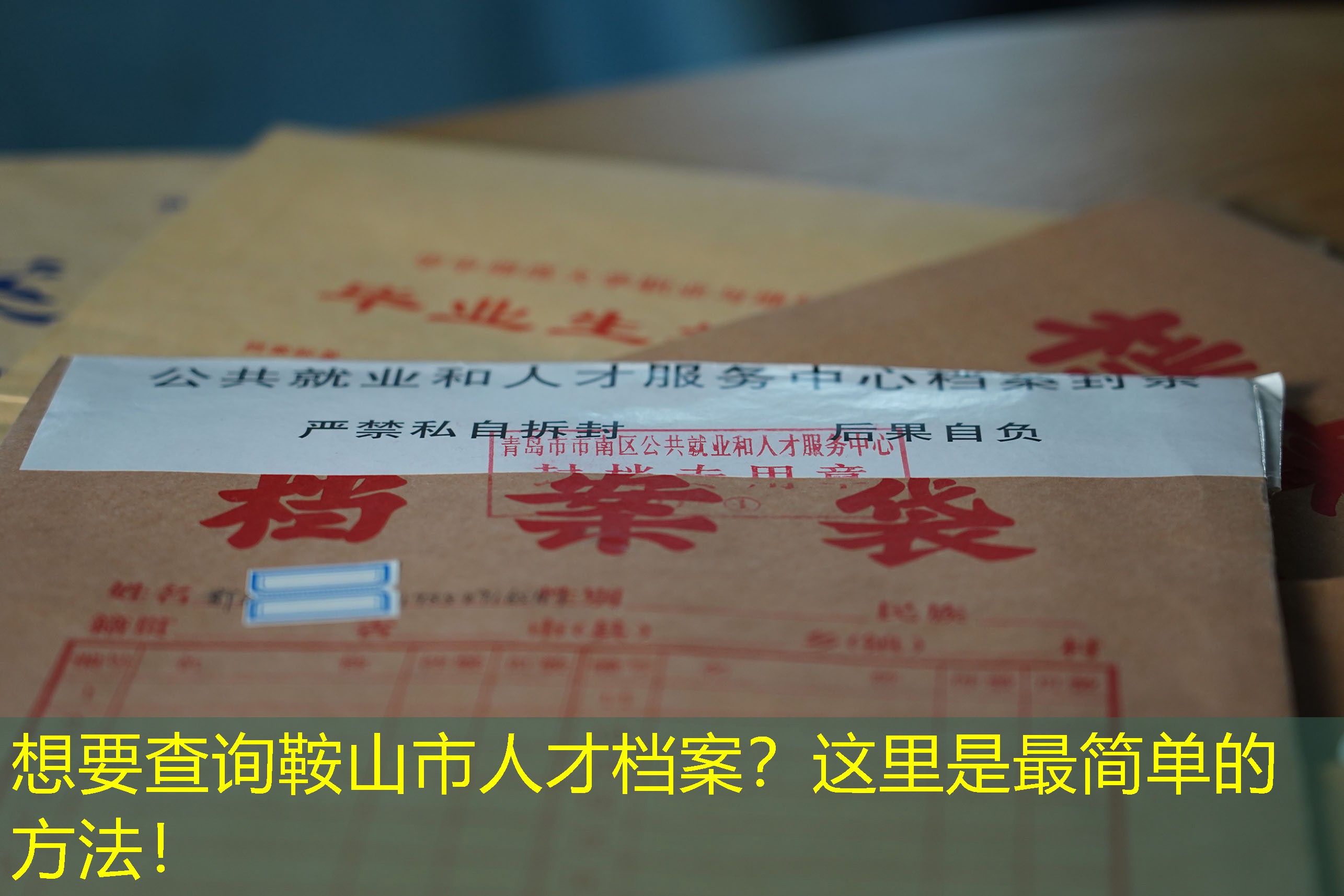 档案查询