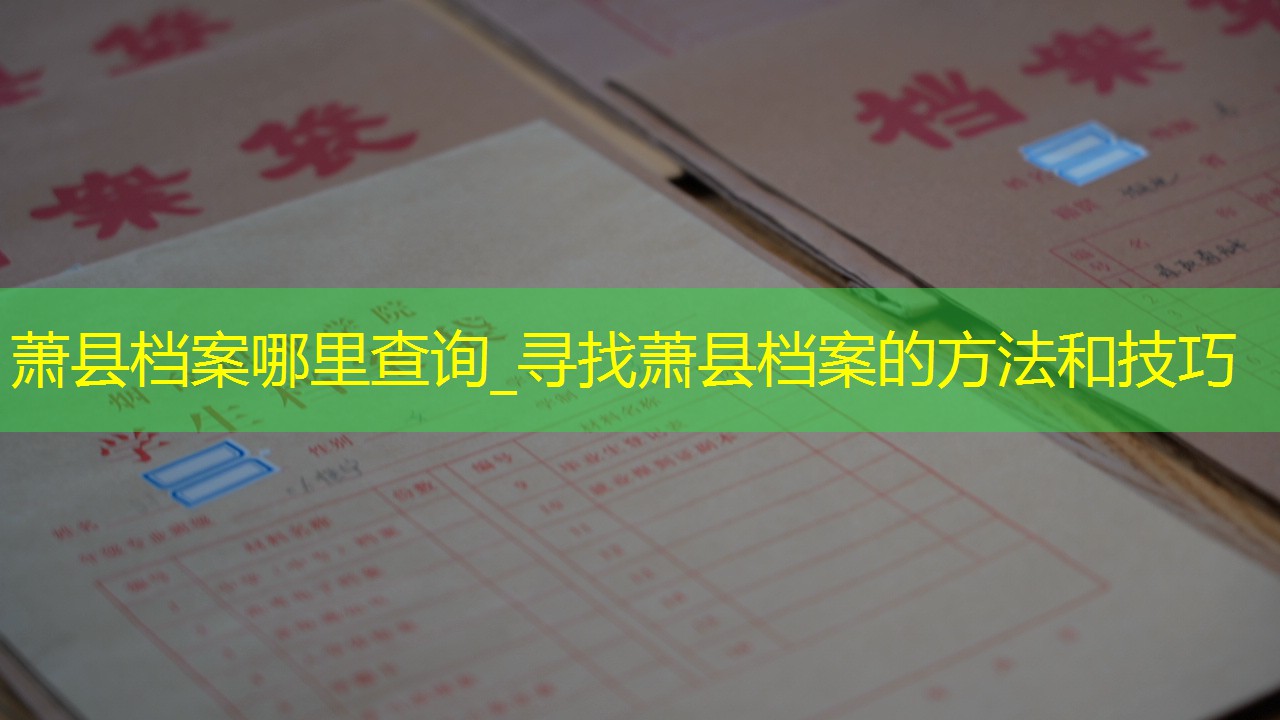 档案查询