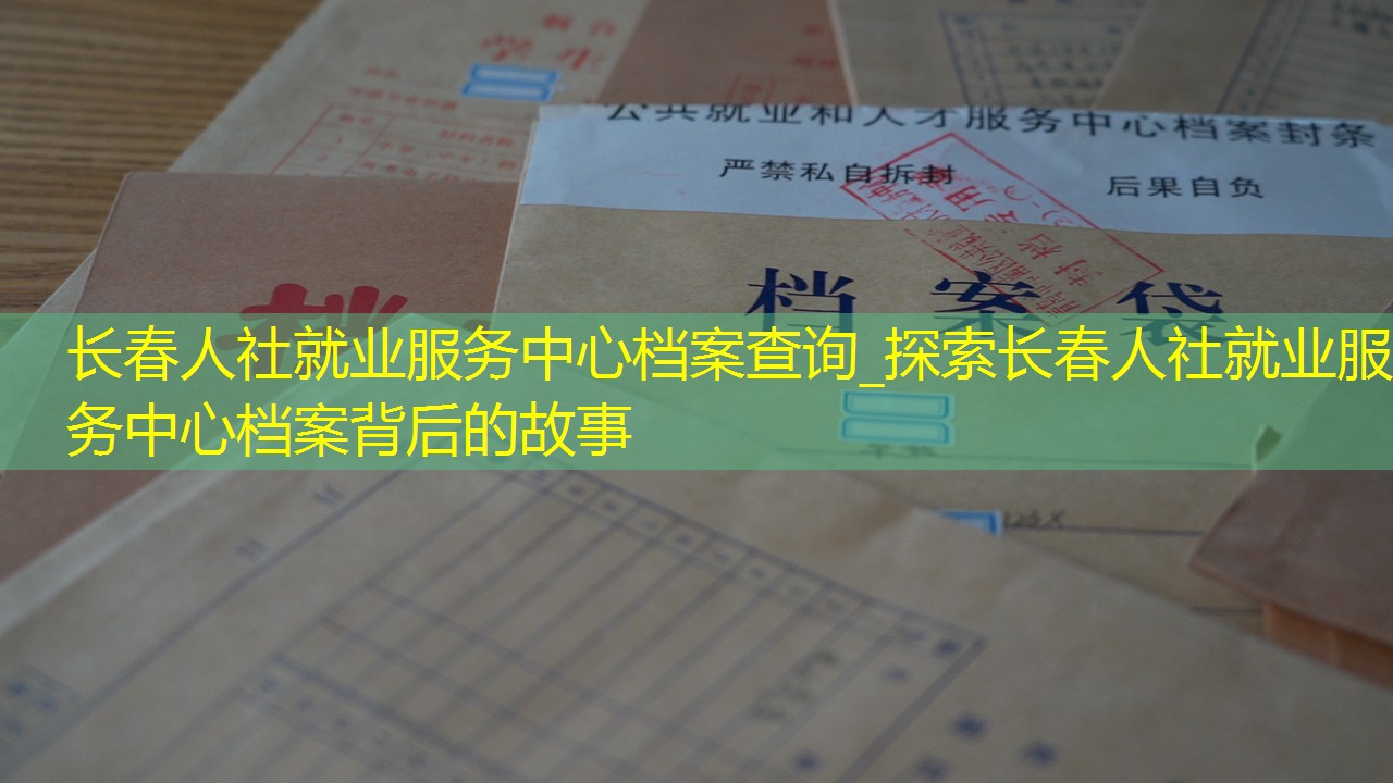 档案查询