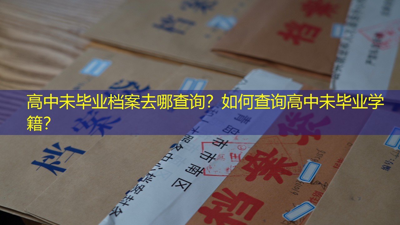 档案查询