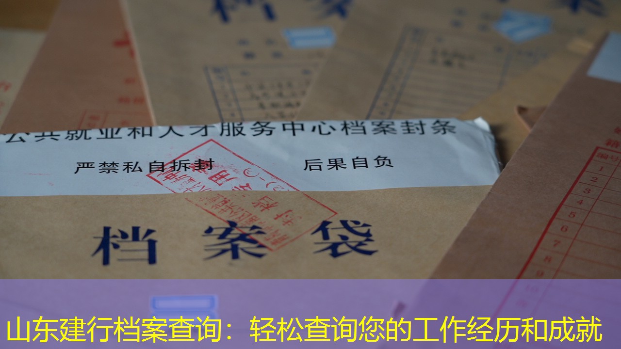 档案查询