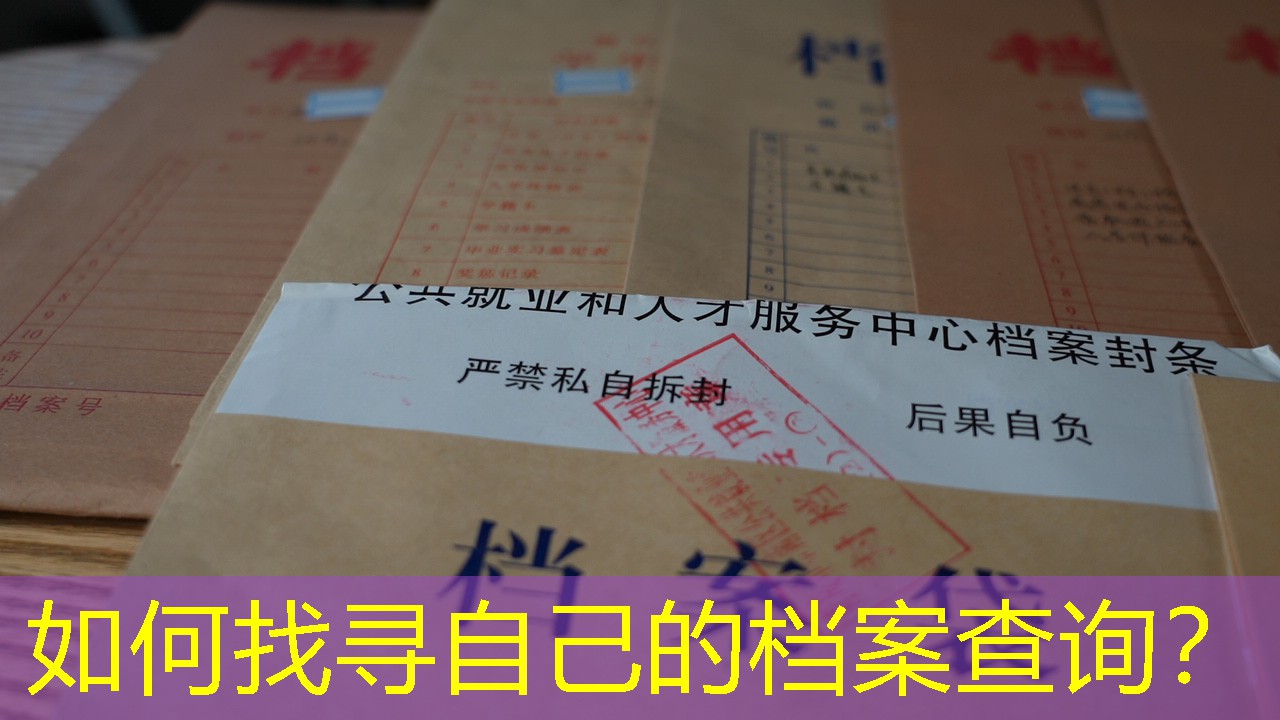 档案查询