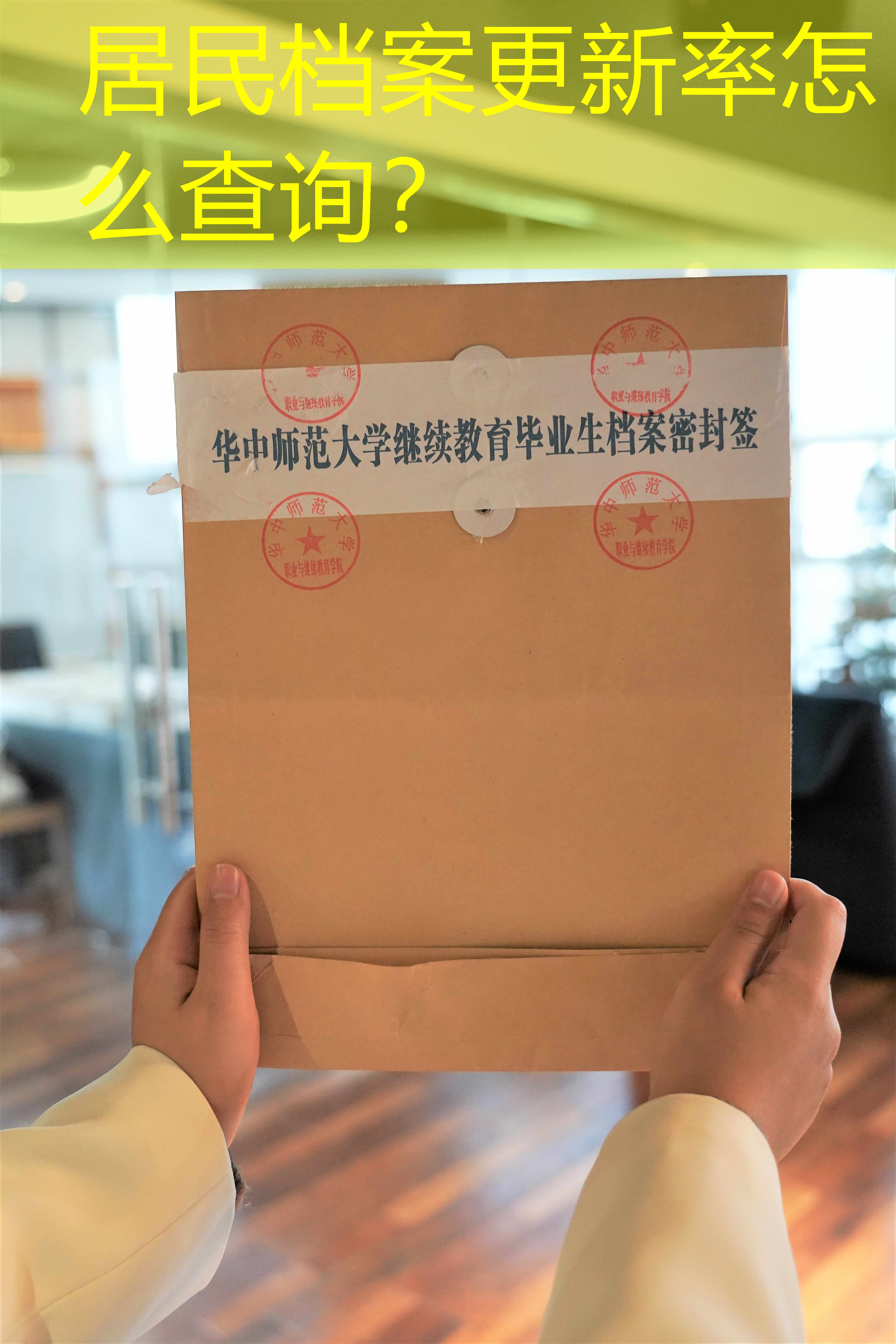 档案查询