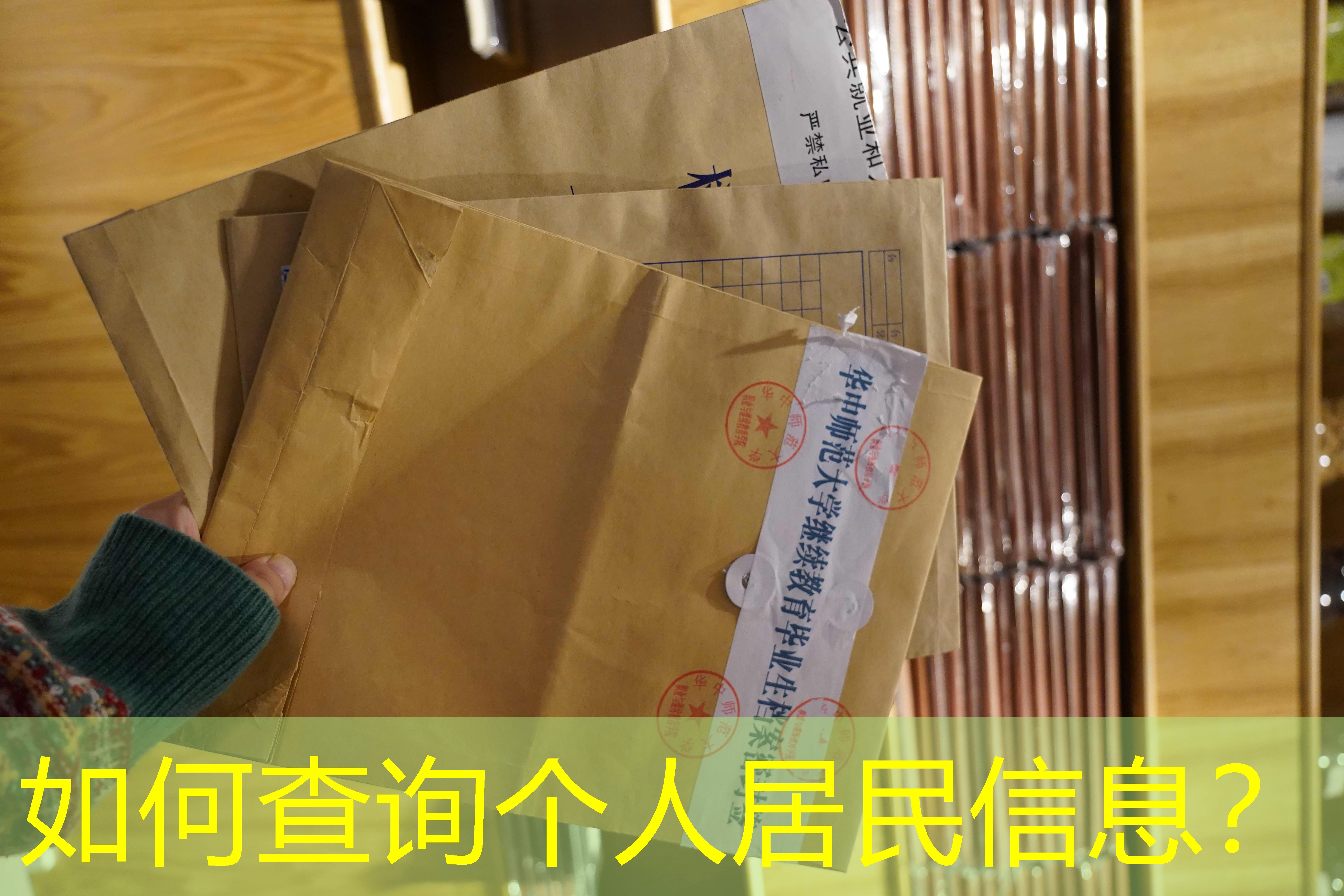 档案查询