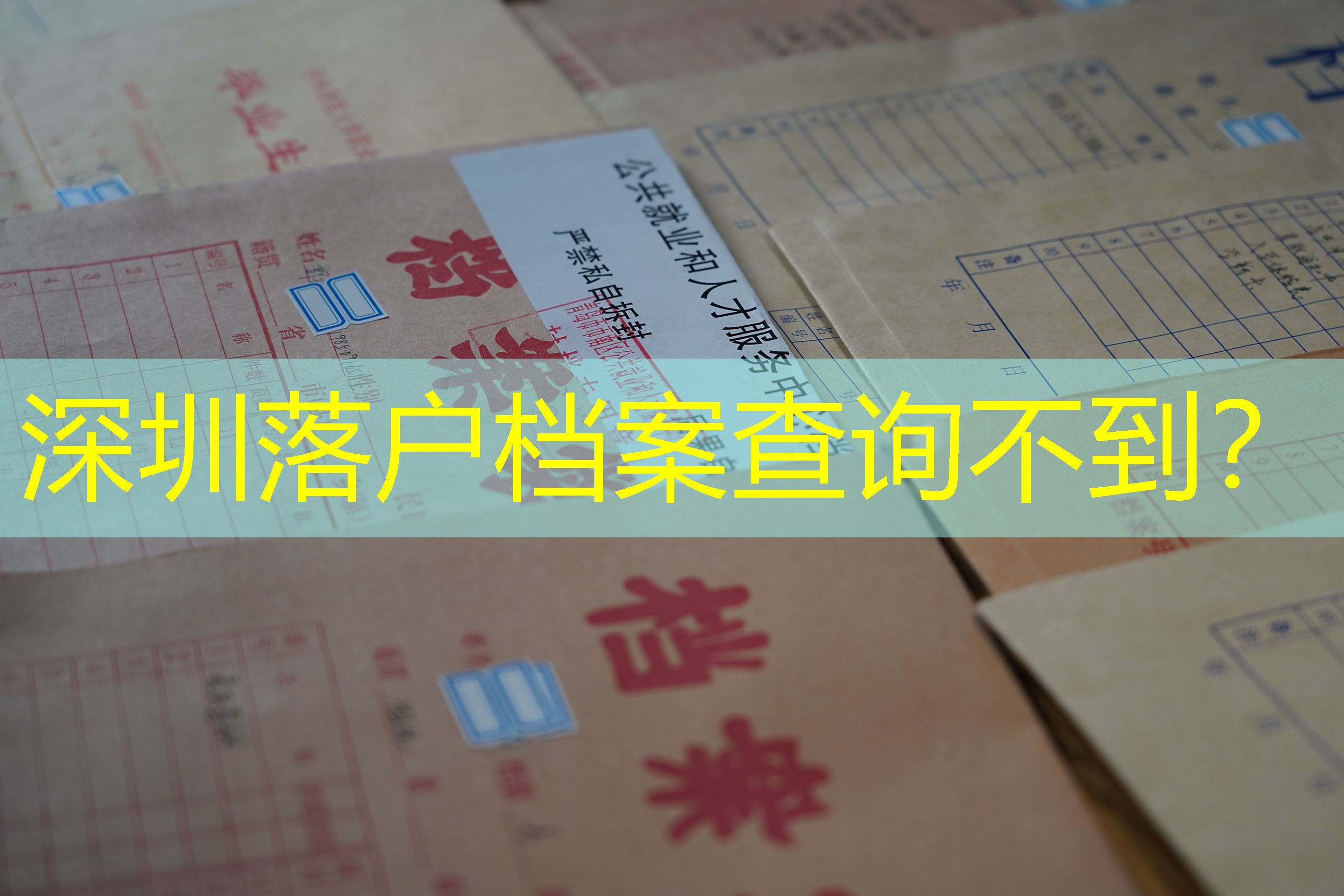 档案查询