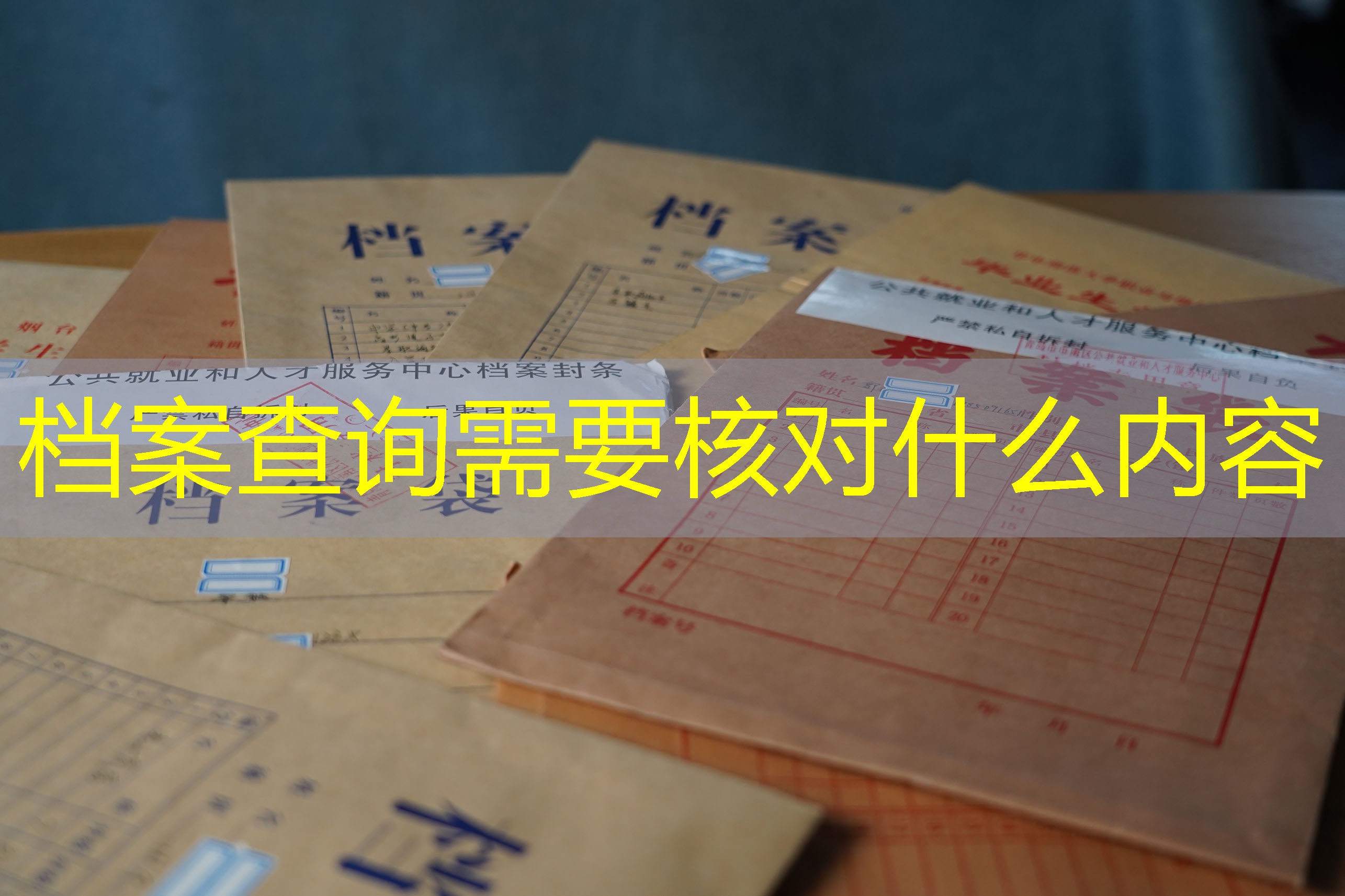 档案查询