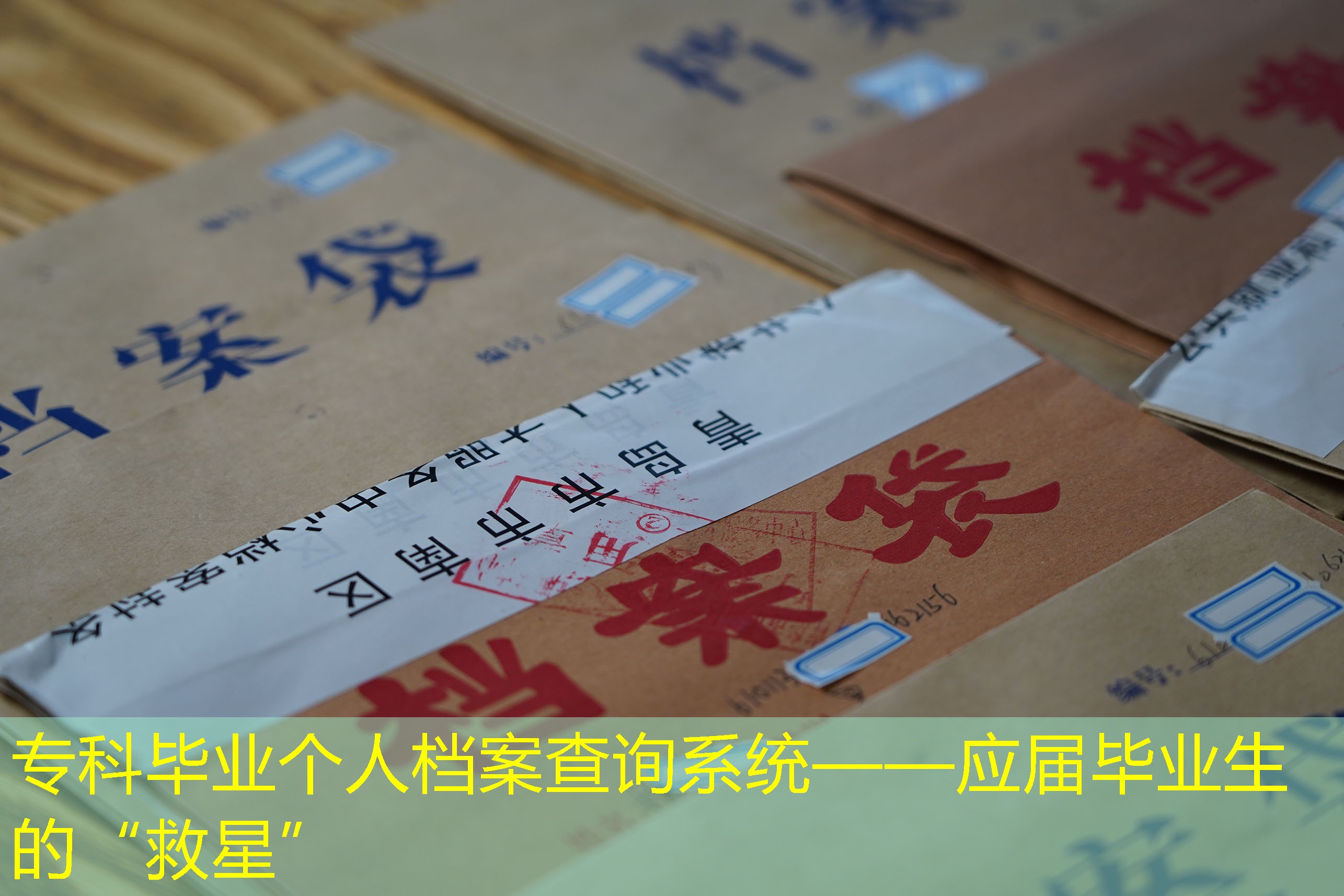档案查询