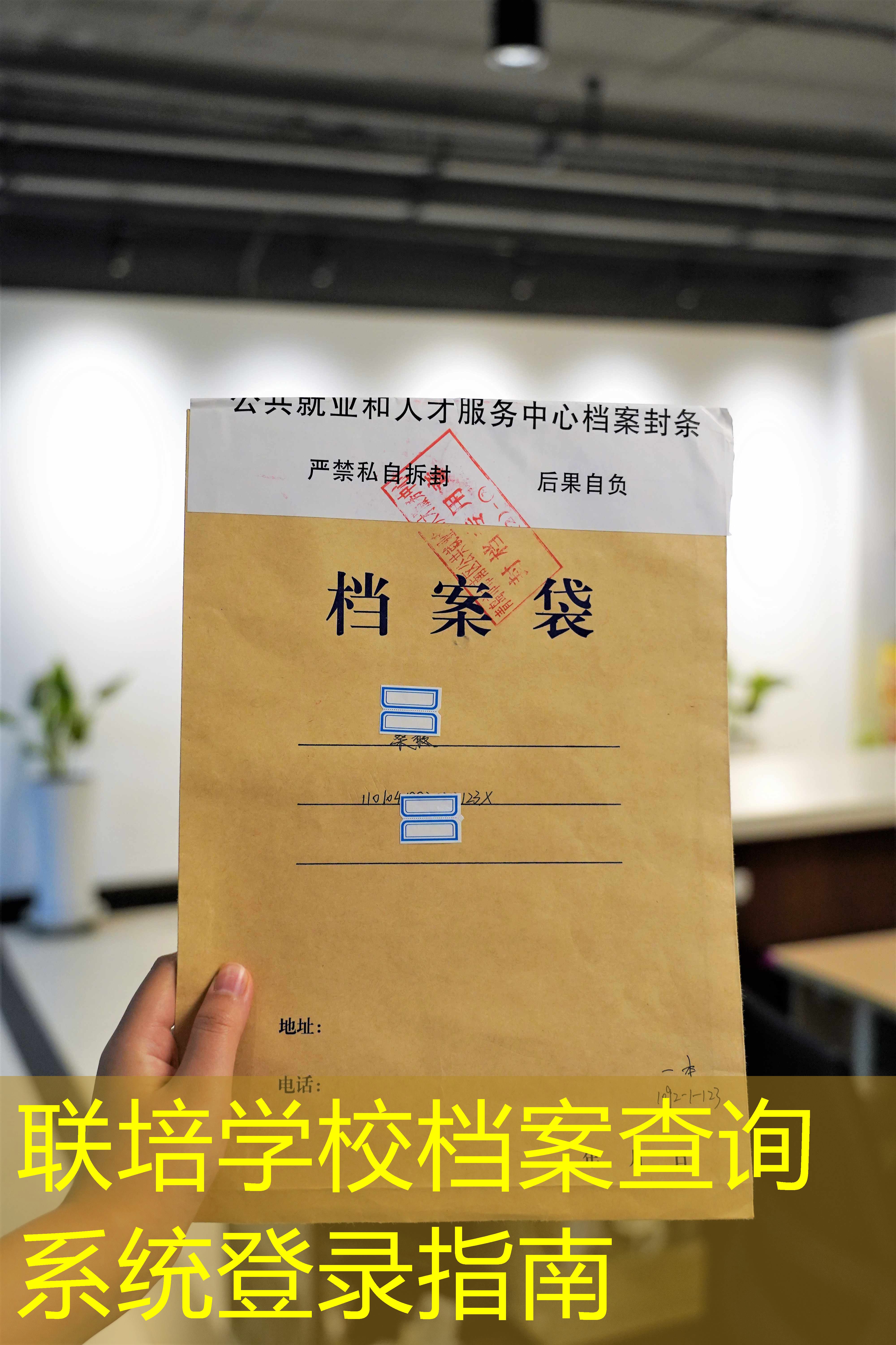 档案查询