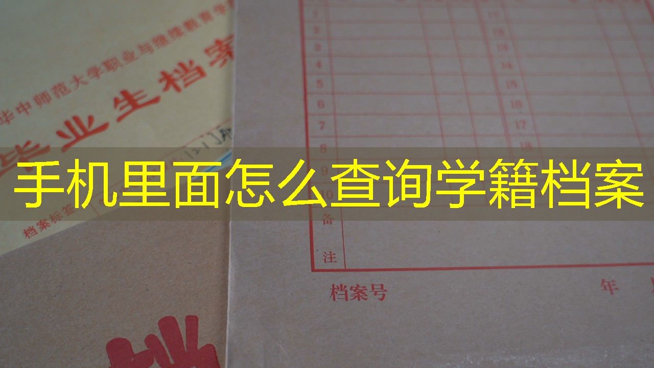 档案查询