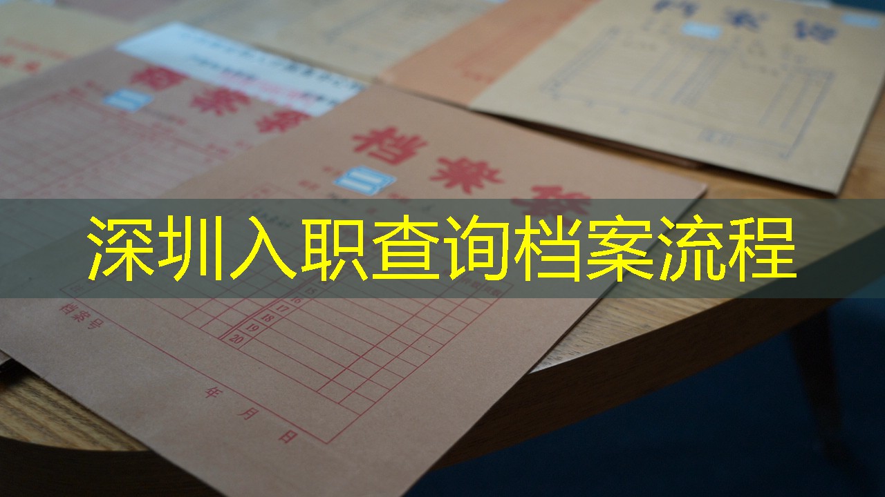 档案查询