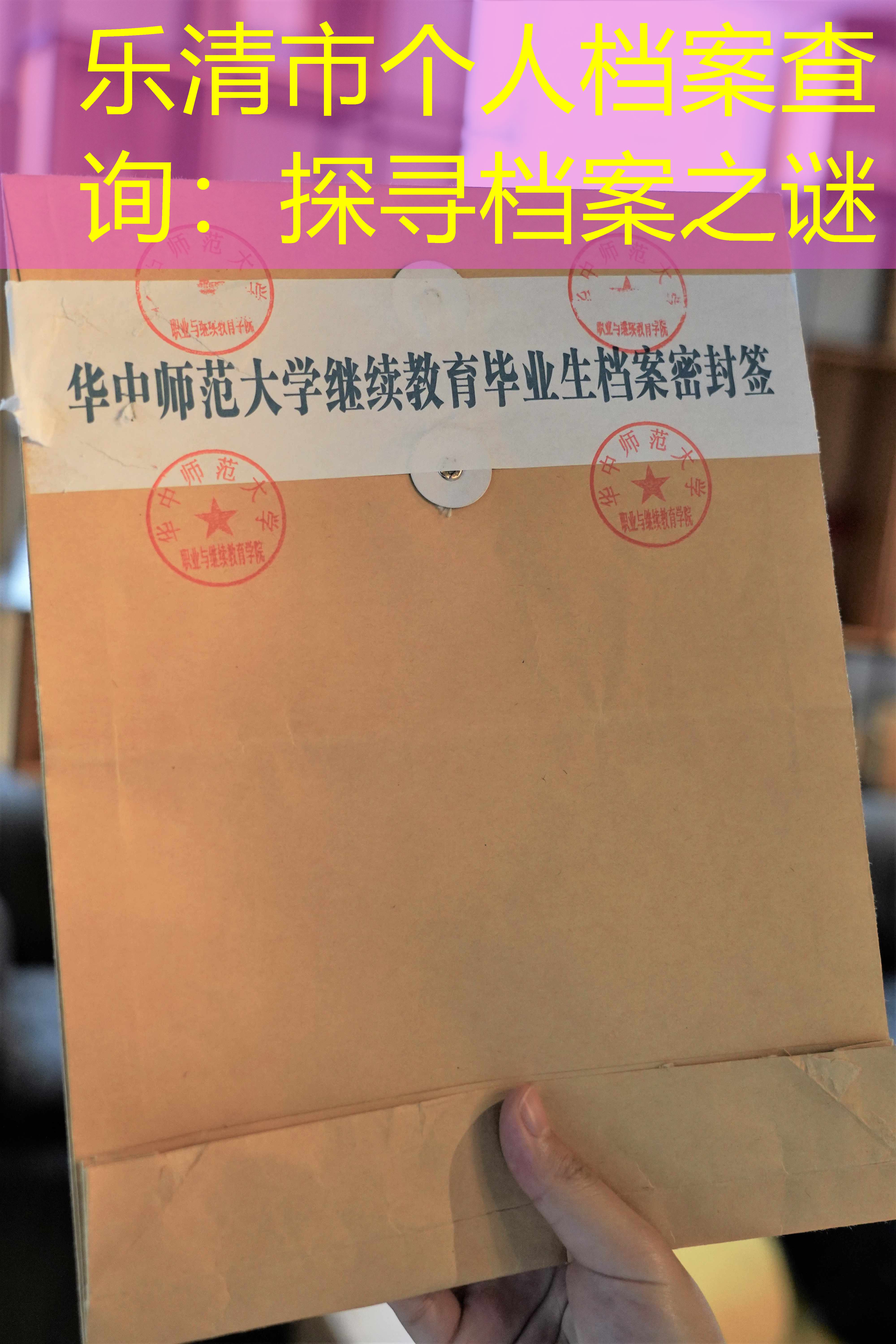 档案查询