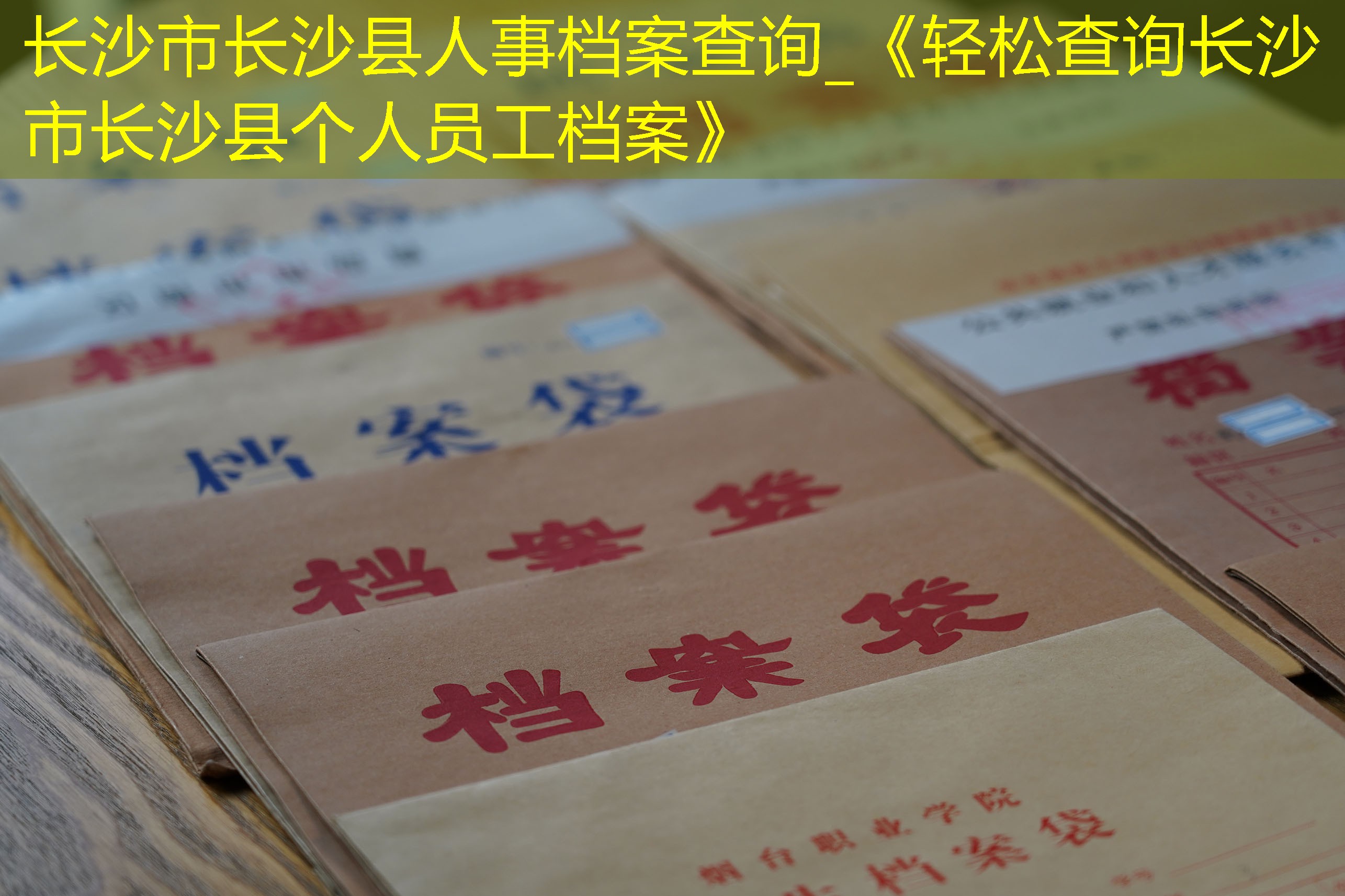 档案查询