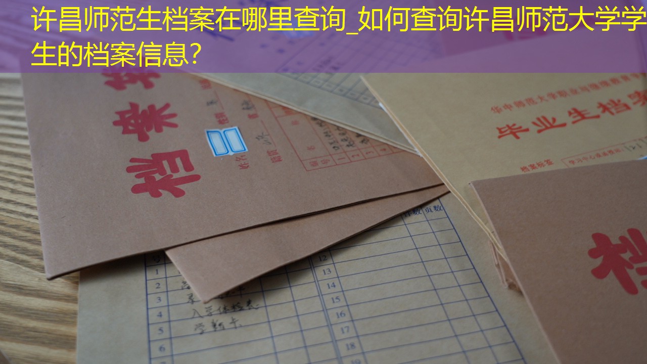 档案查询