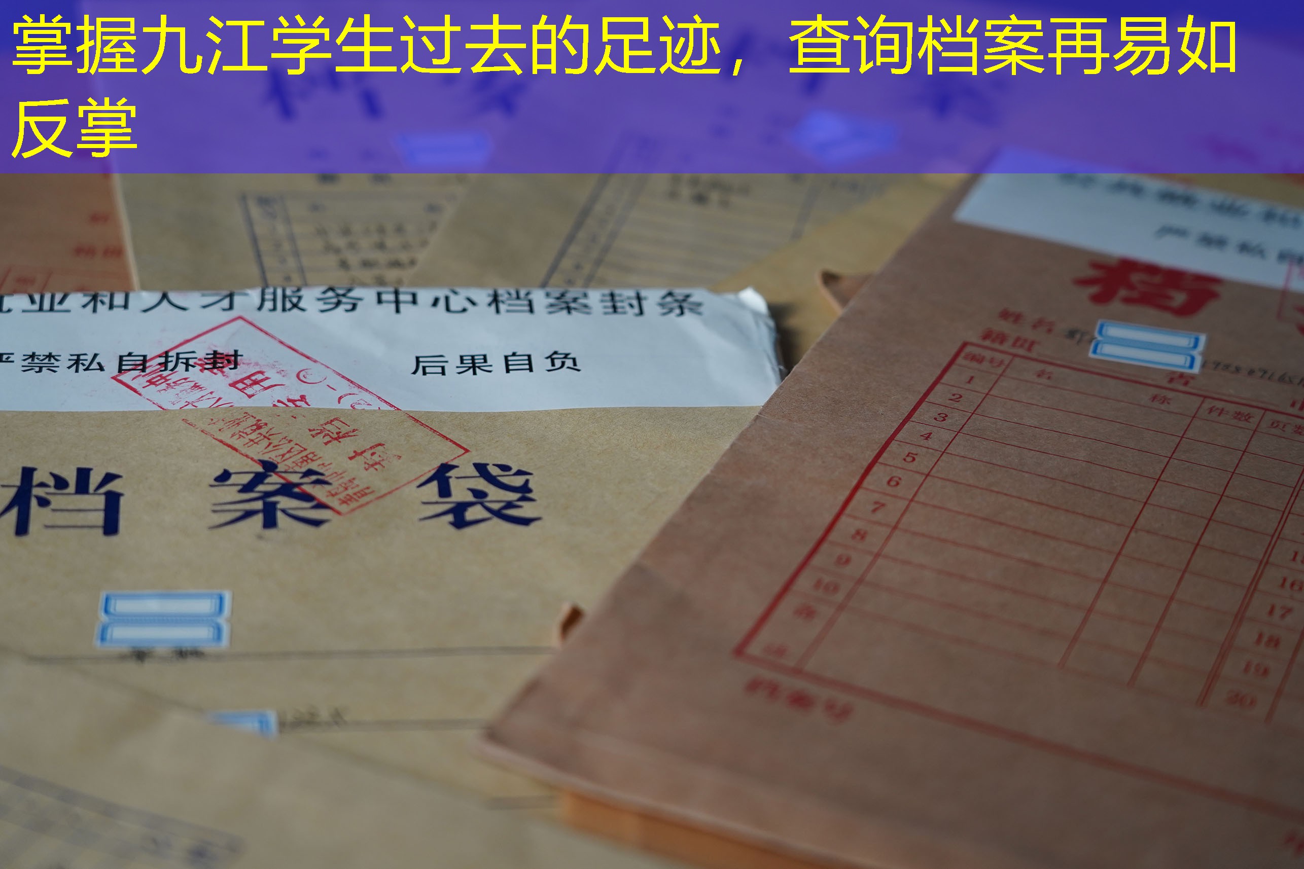 档案查询