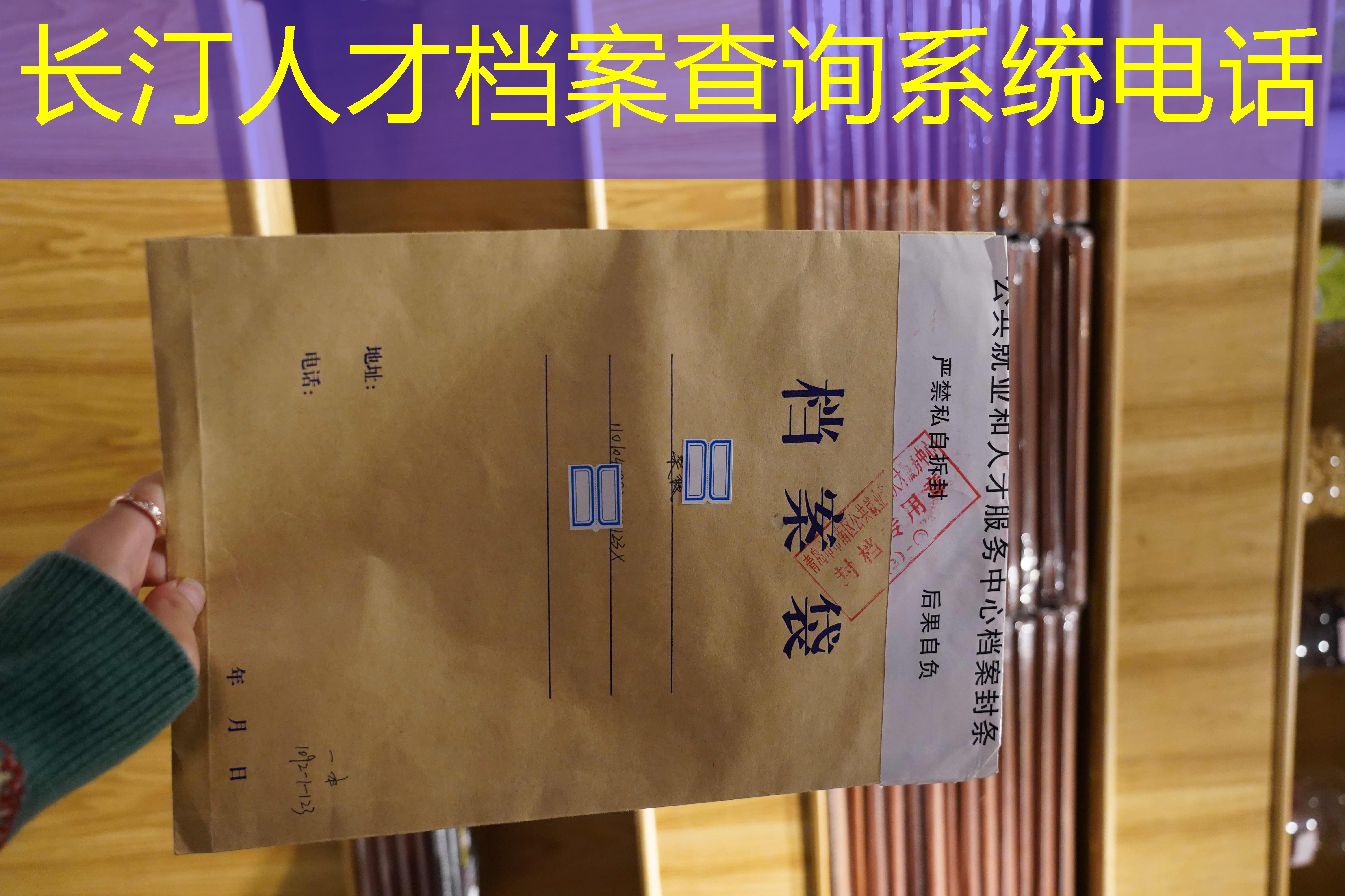 档案查询
