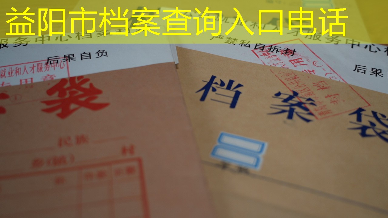 档案查询