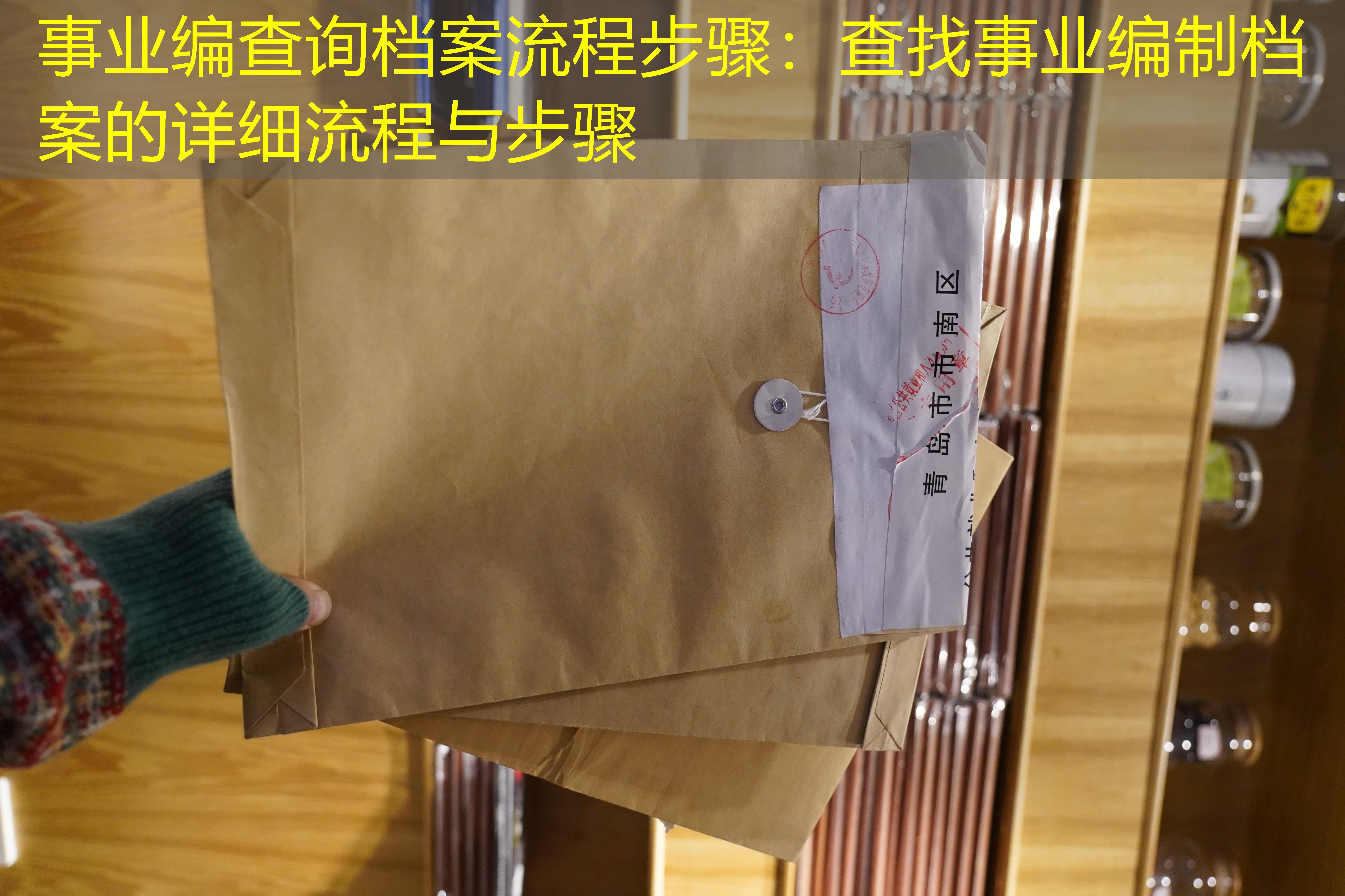 档案查询