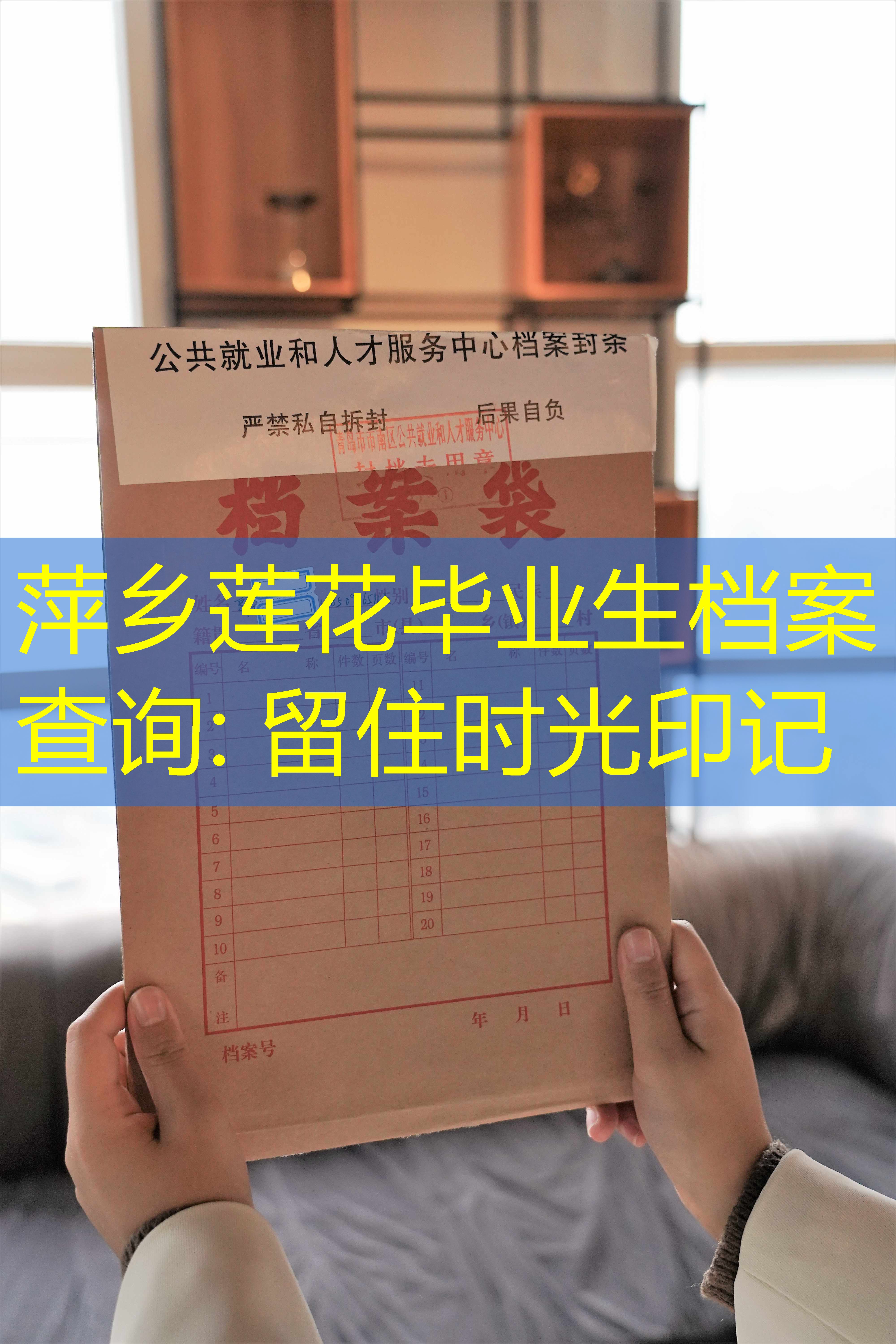 档案查询