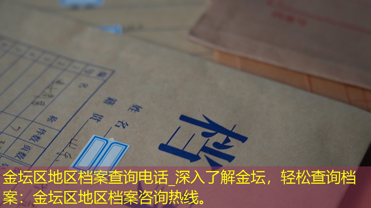 档案查询