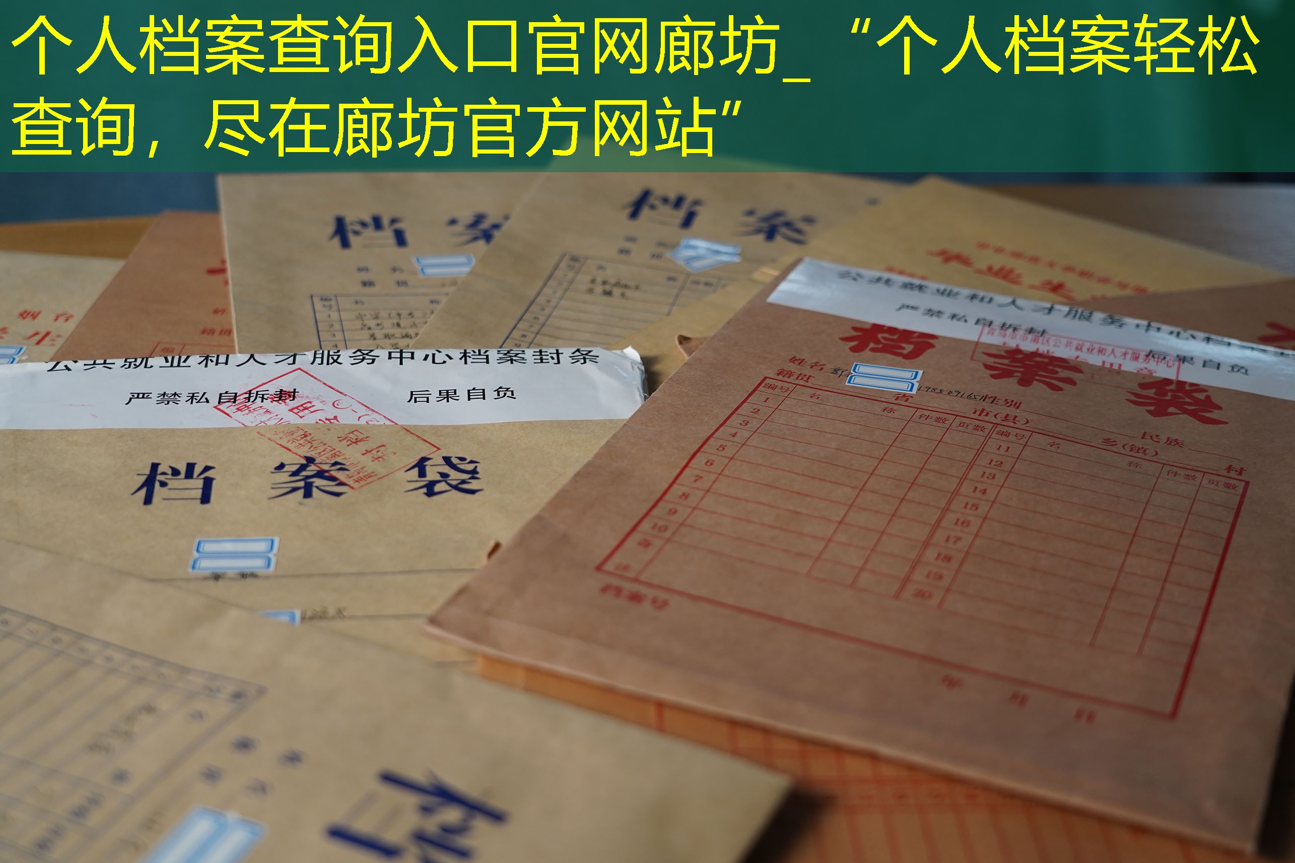 档案查询