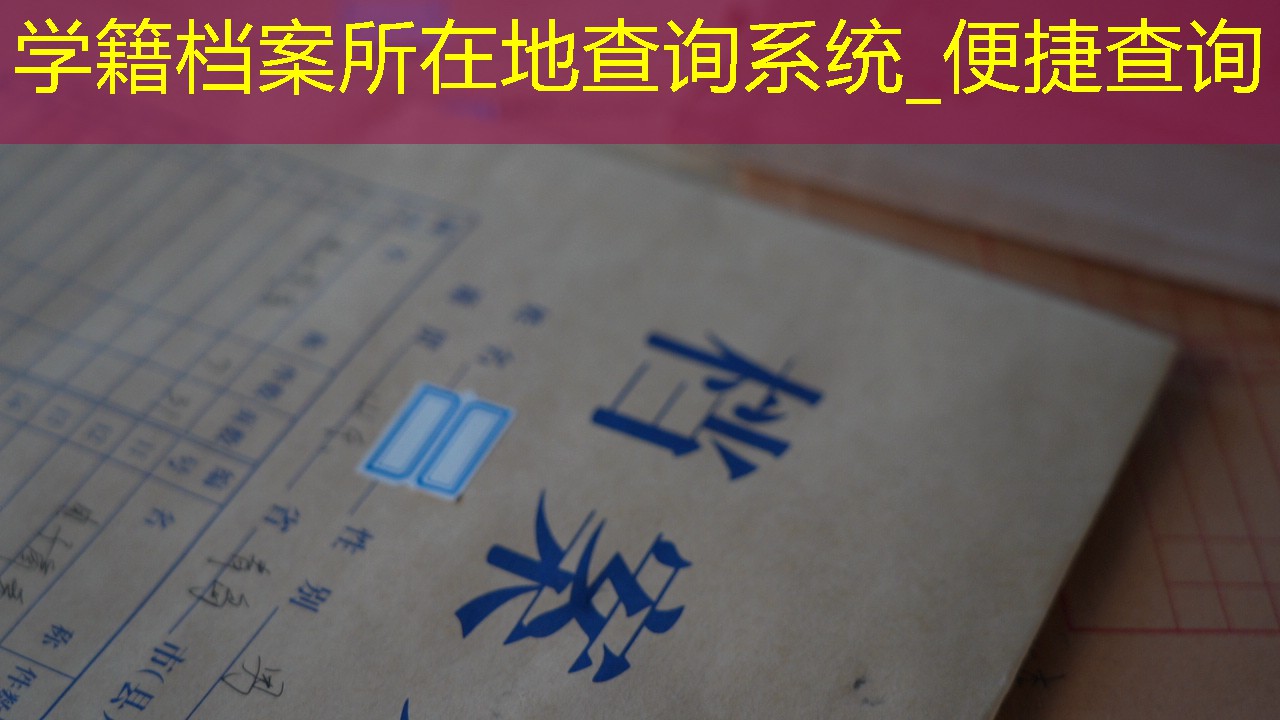 档案查询