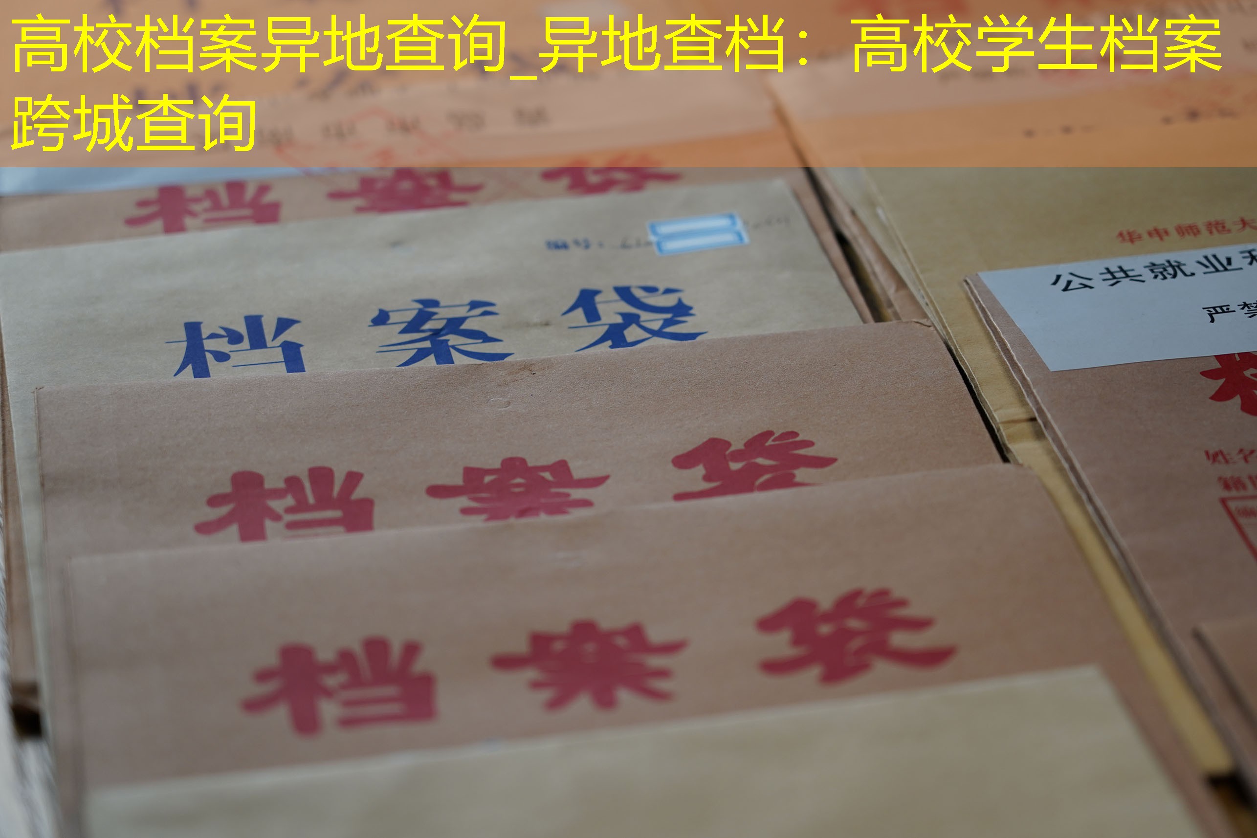档案查询