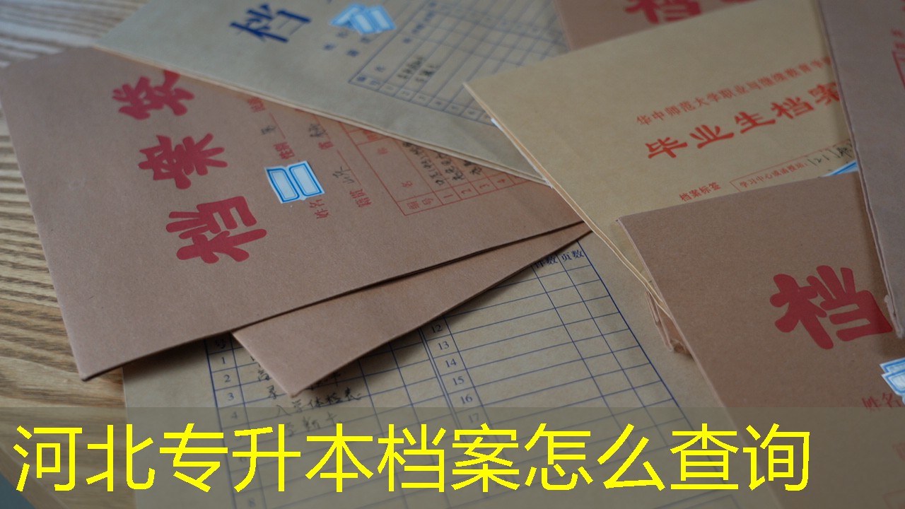 档案查询