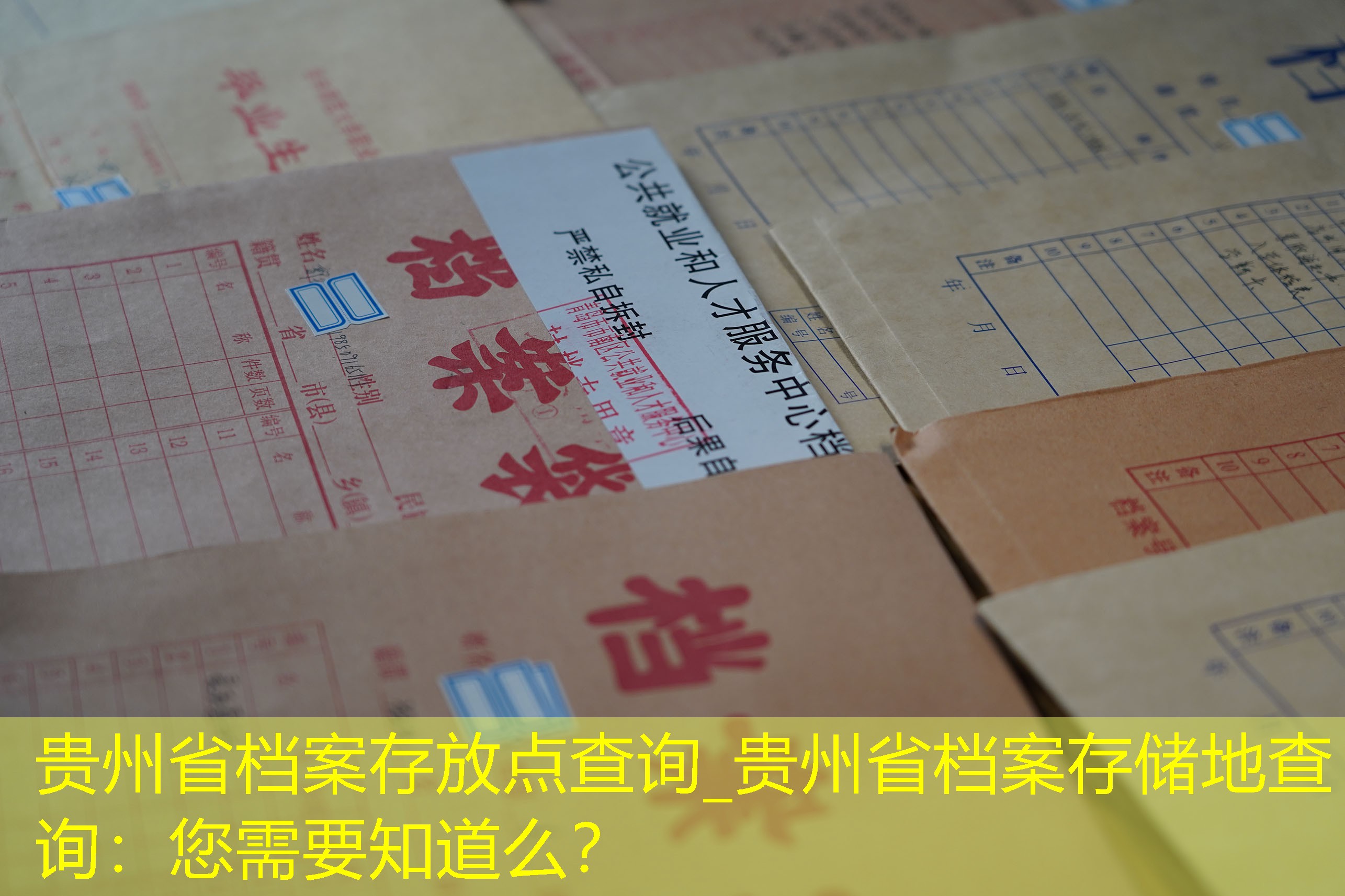 档案查询