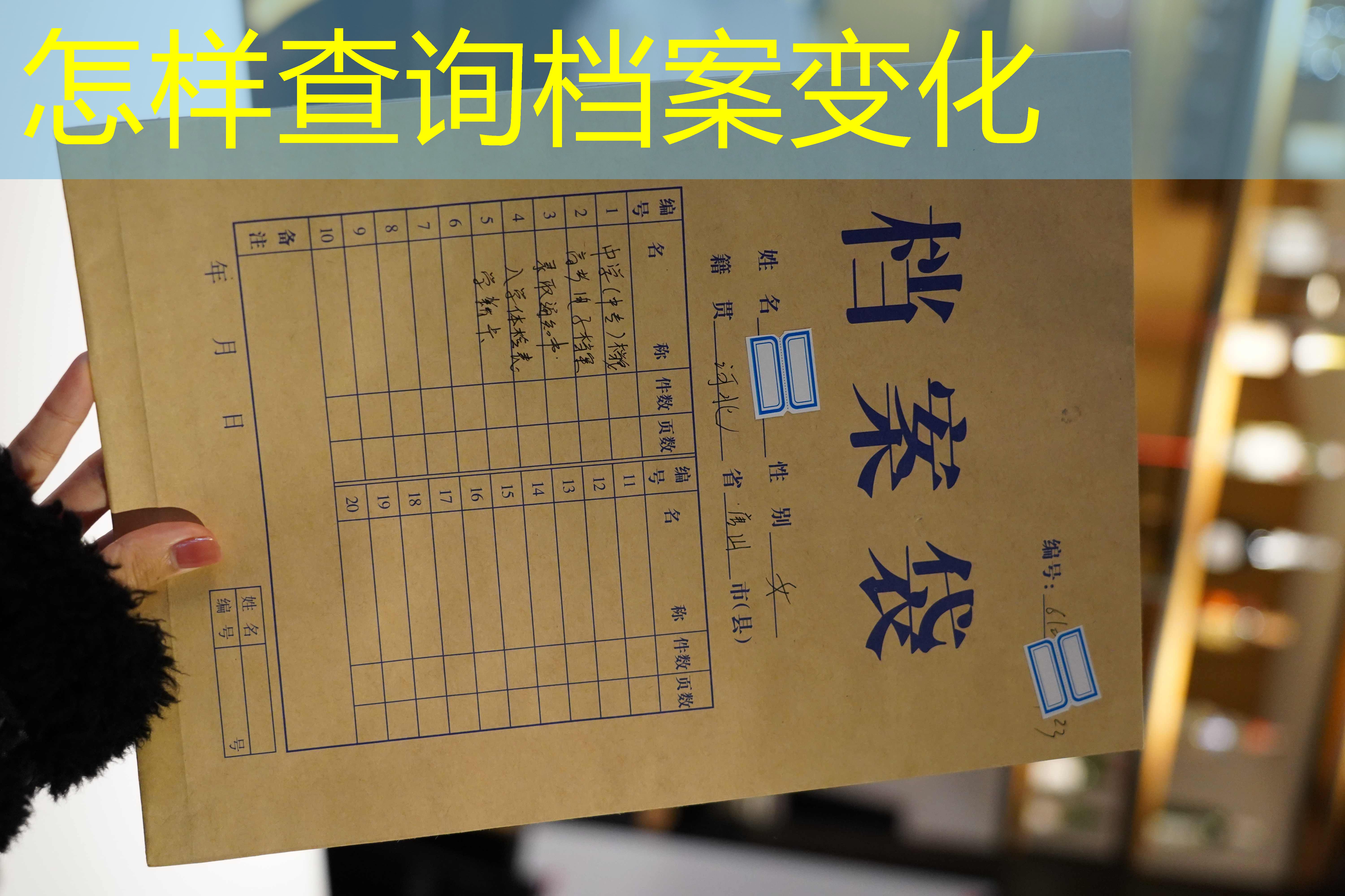 档案查询