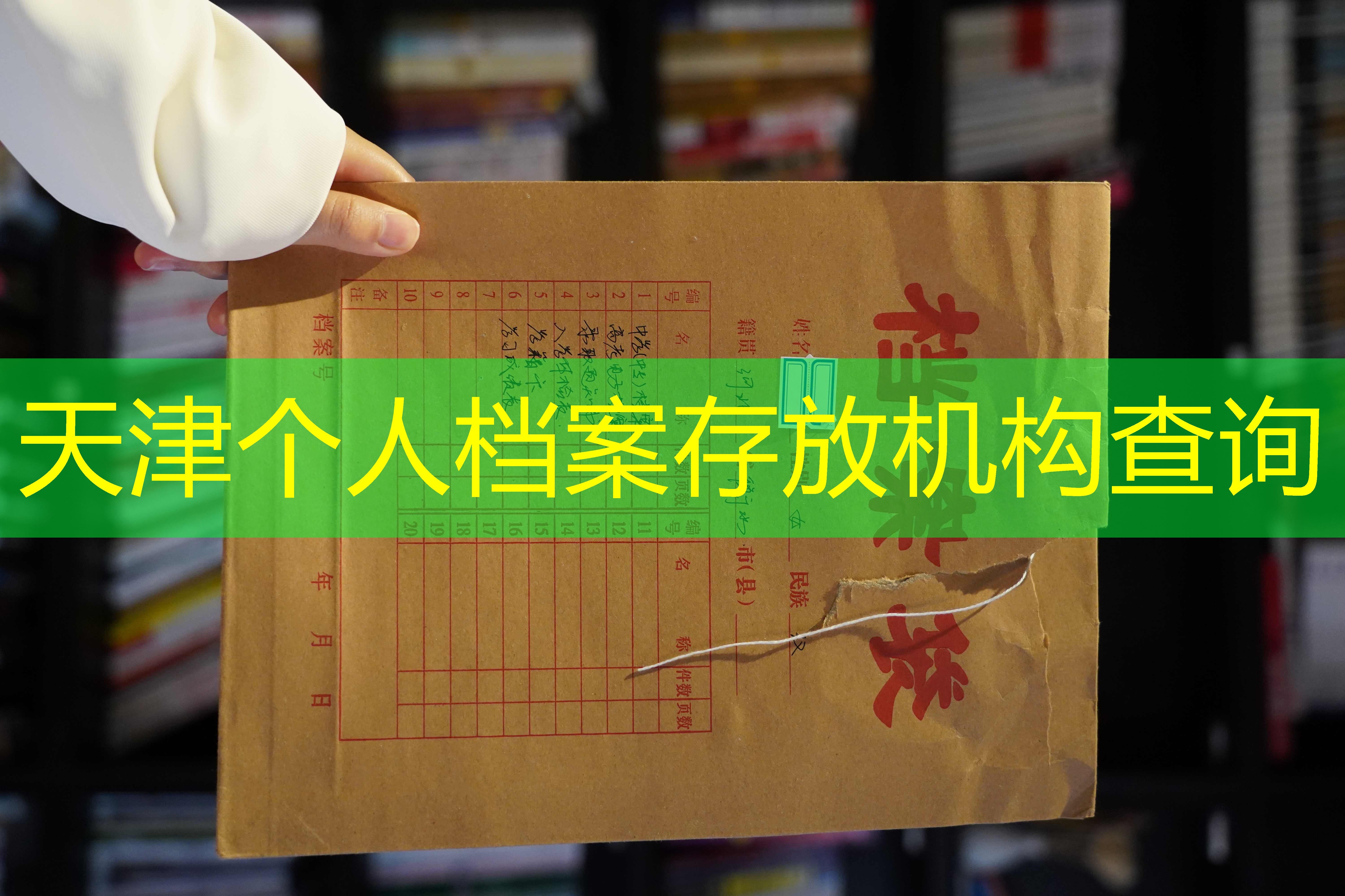 档案查询