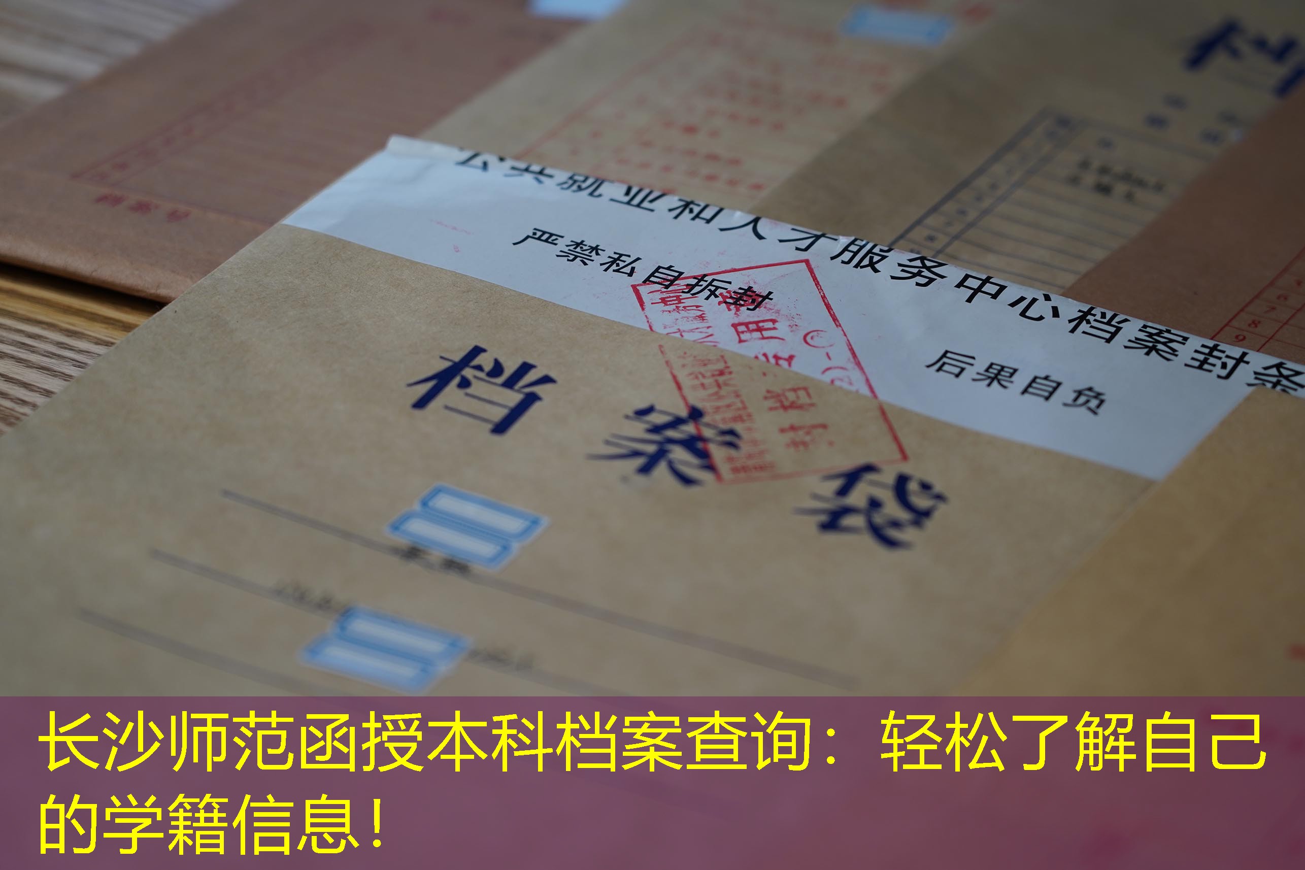 档案查询