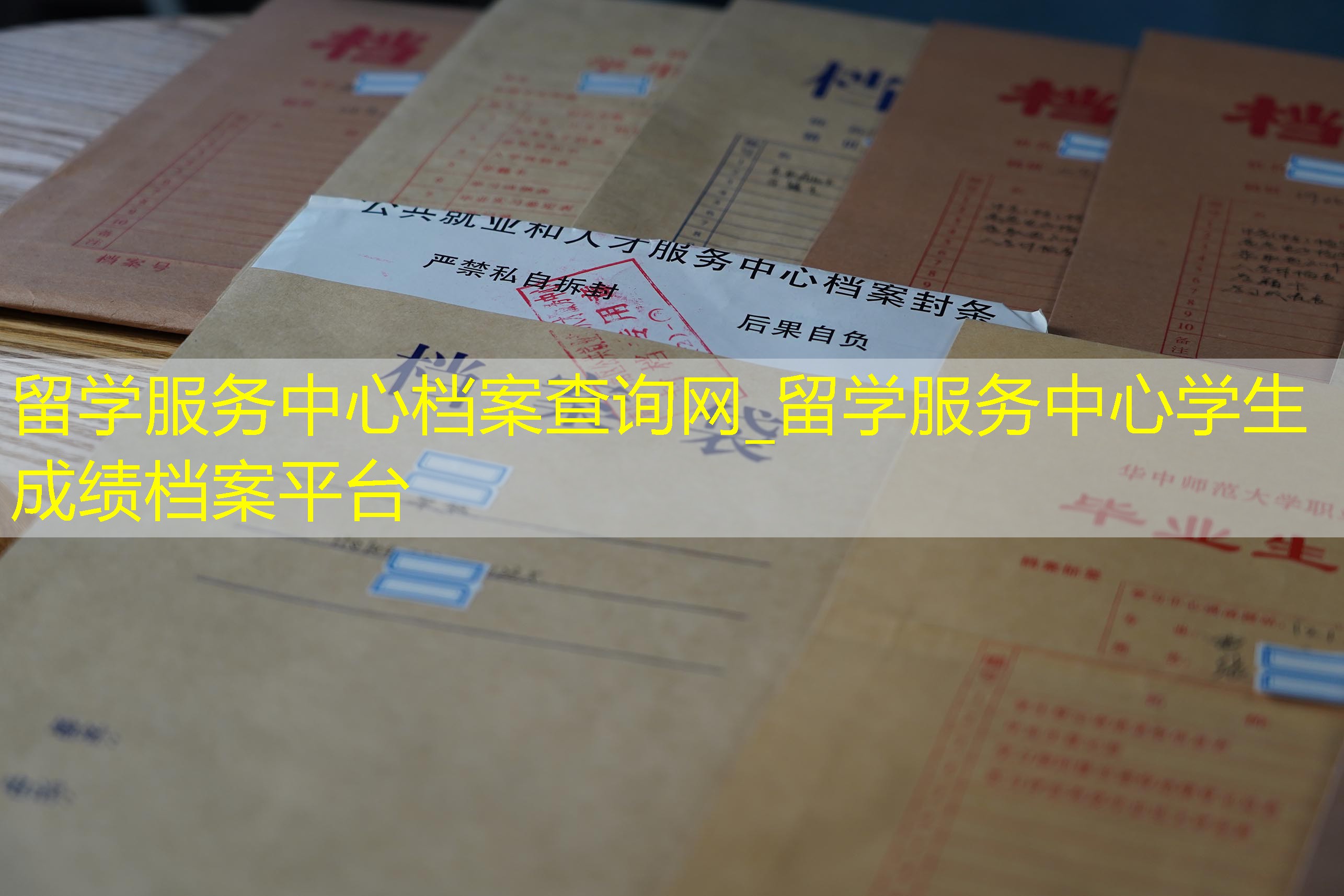 档案查询