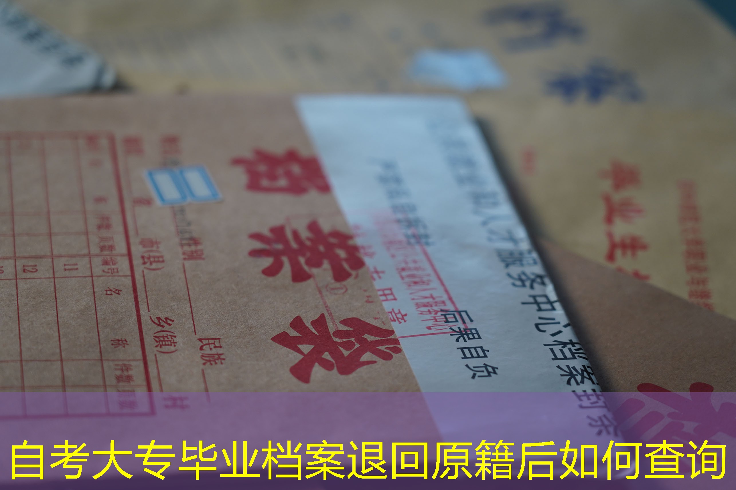 档案查询