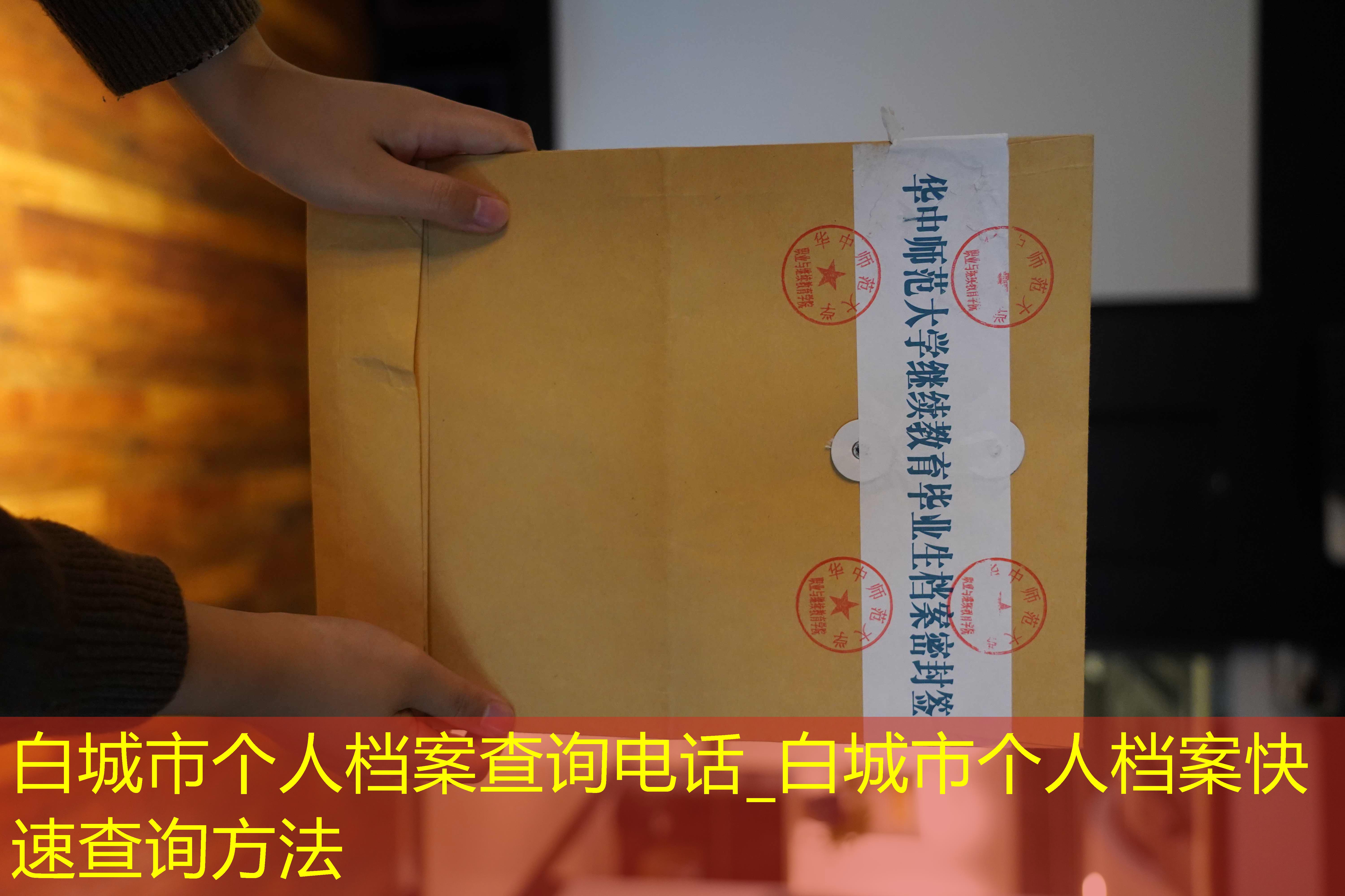 档案查询