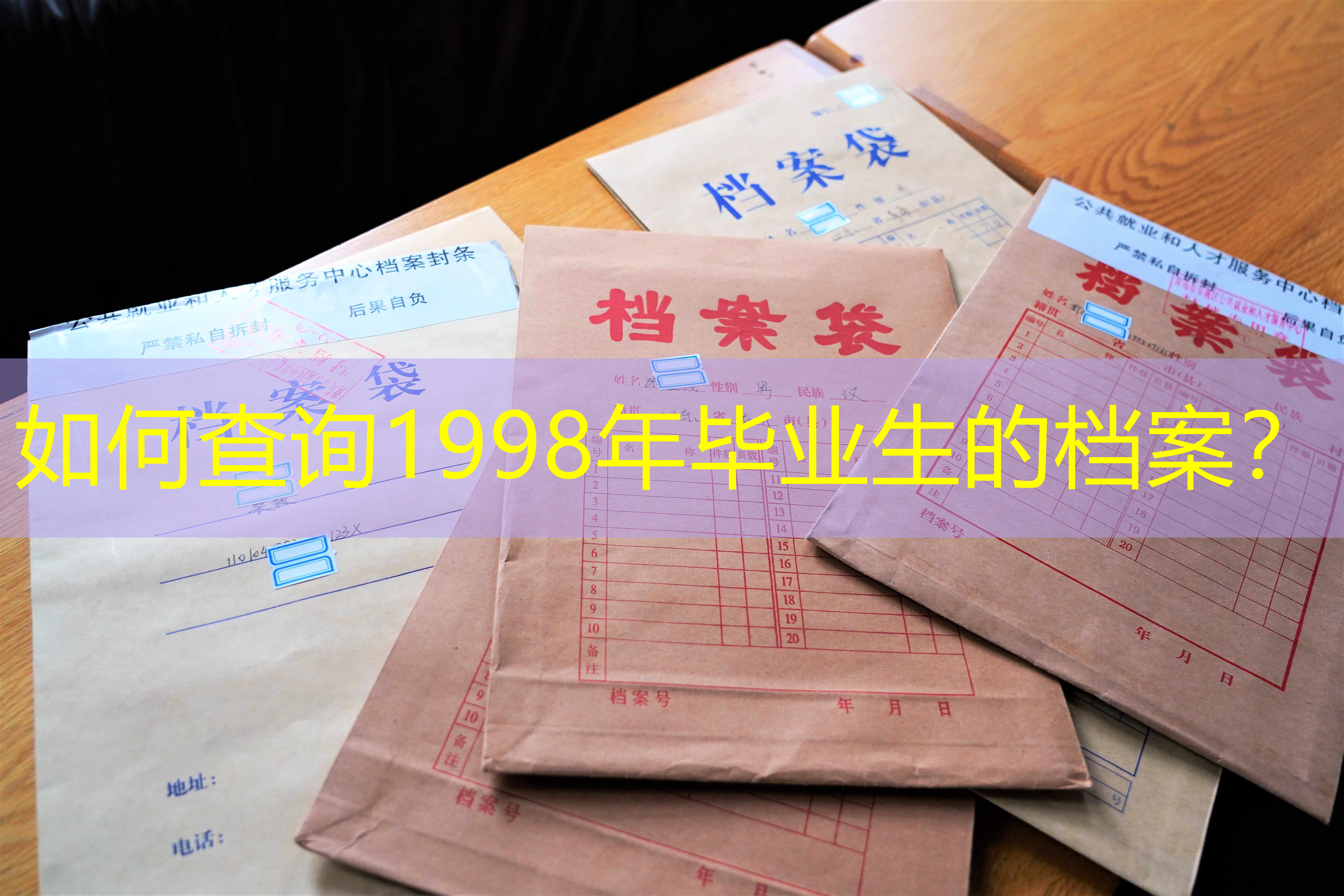 档案查询