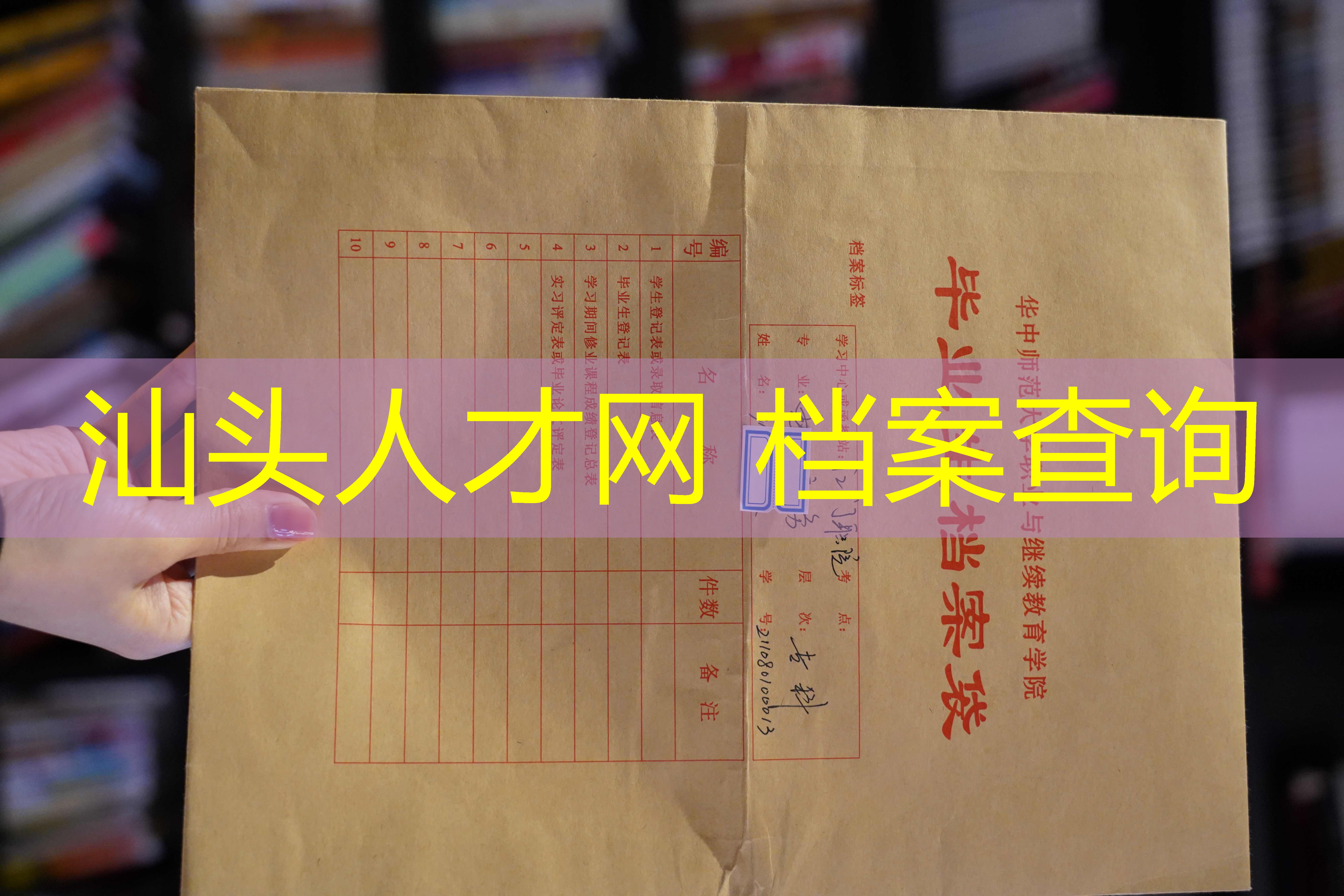 档案查询