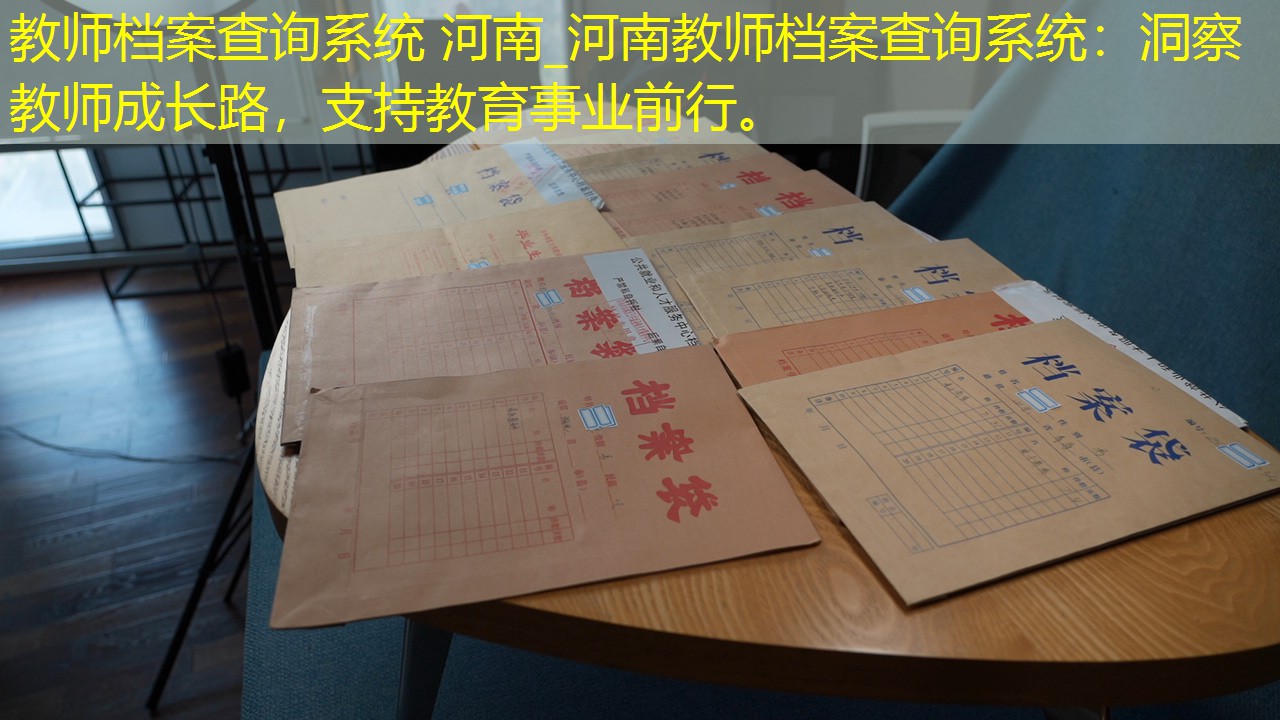 档案查询